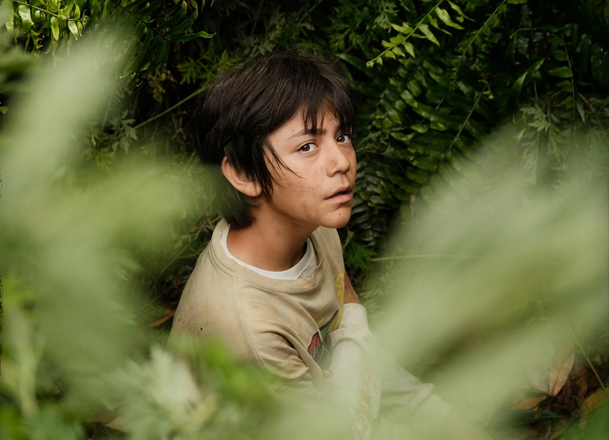 Moon, der Panda hero banner image placeholder