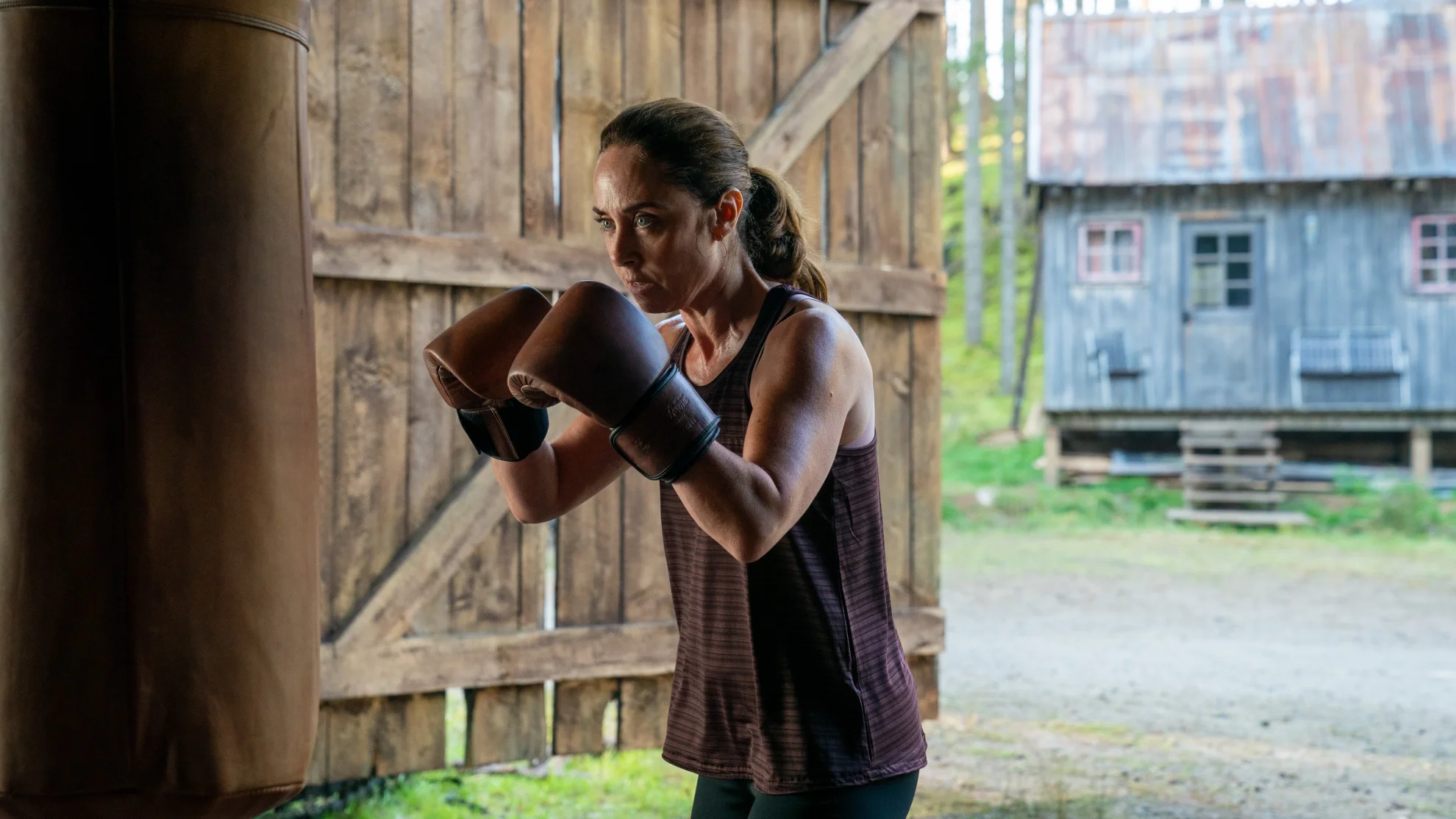 The Last Viking hero banner image placeholder