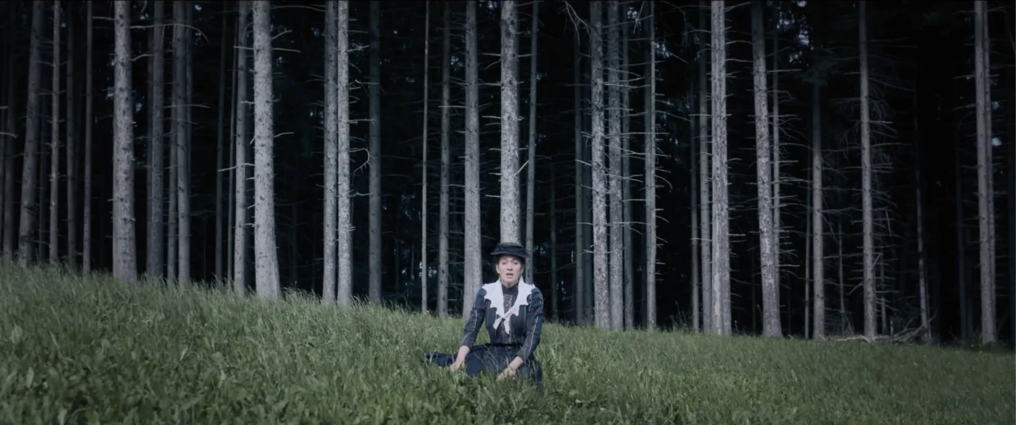 Friedas Fall hero banner image placeholder