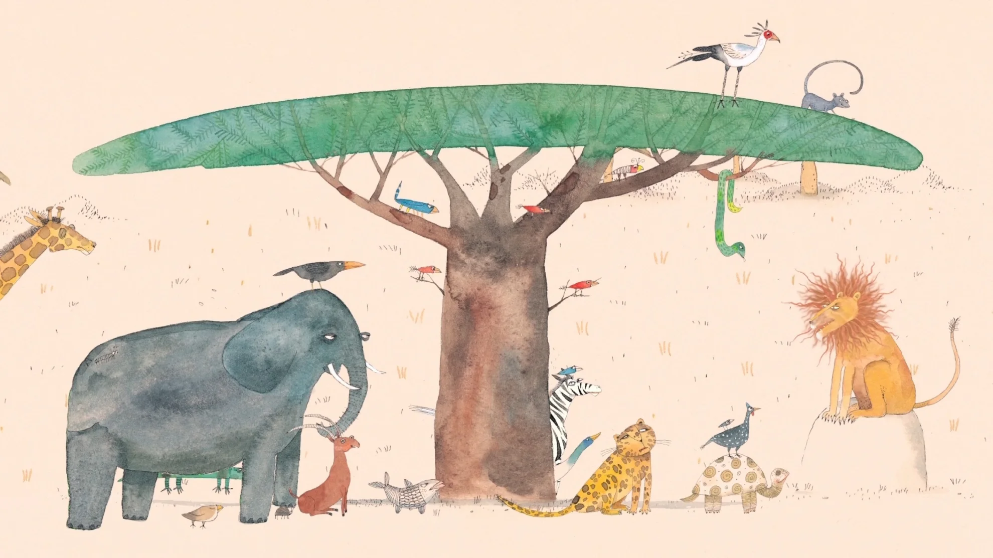 Am Wasser entlang (Kurzfilme) hero banner image placeholder