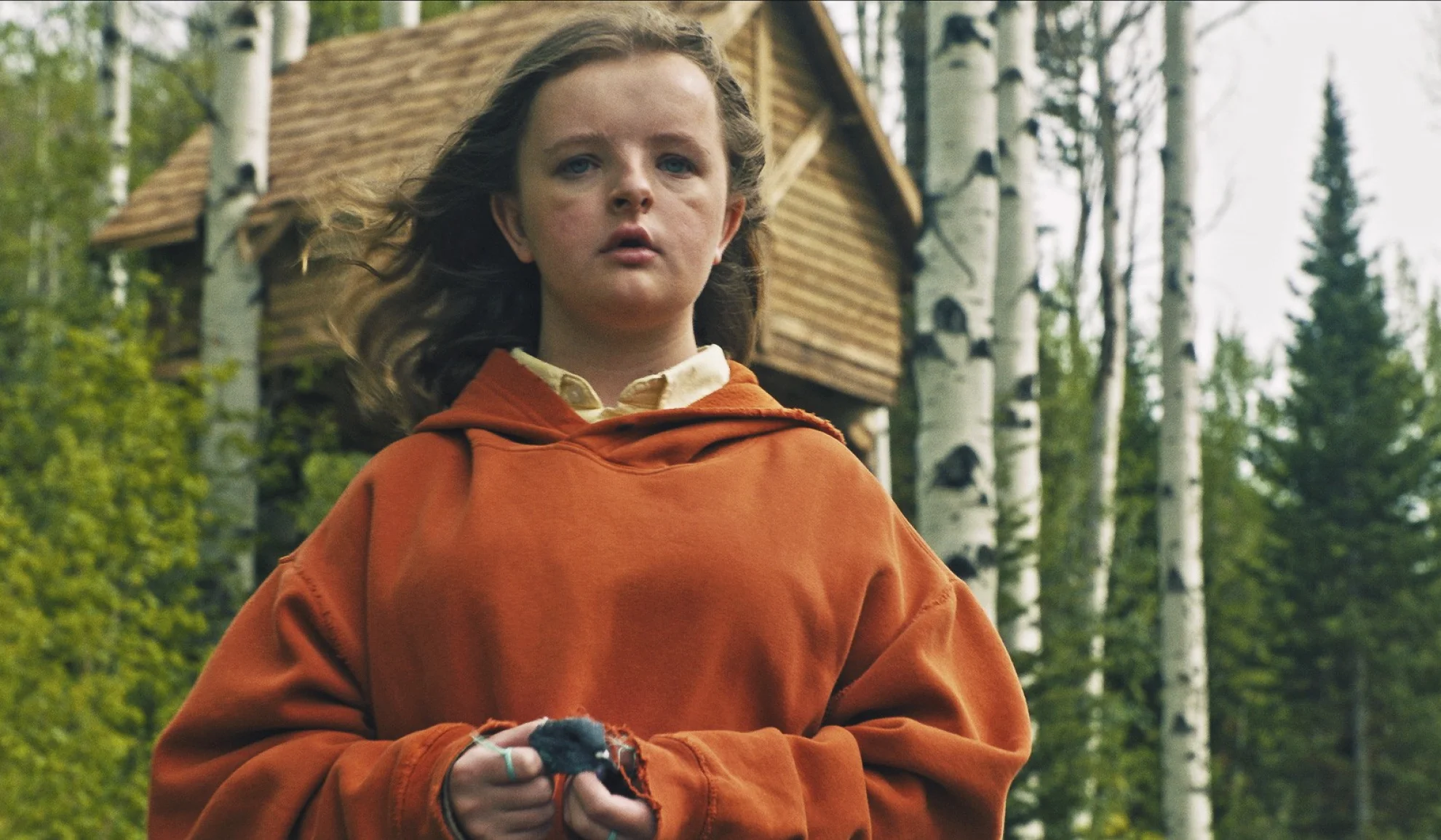 Hereditary hero banner image placeholder