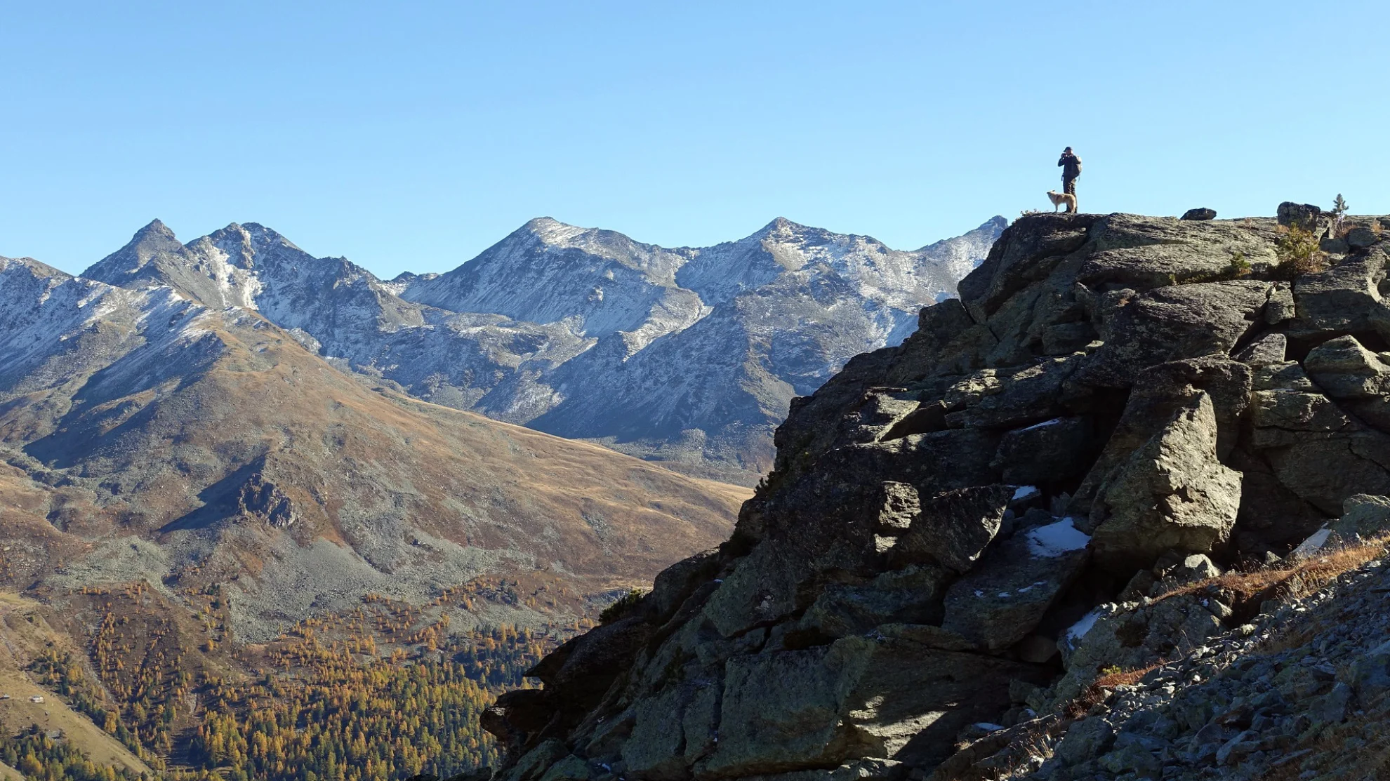 Die Rückkehr der Wölfe hero banner image