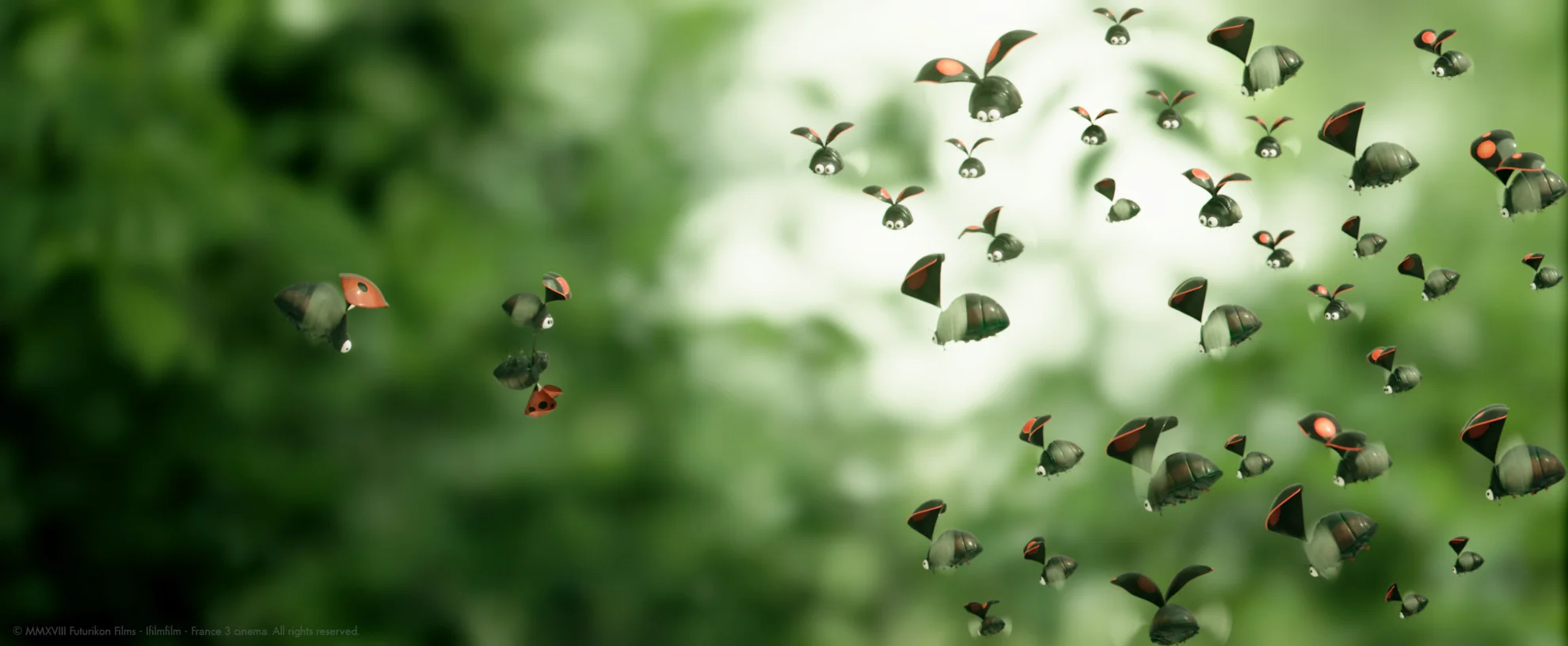 Minuscule – Abenteuer in der Karibik hero banner image placeholder