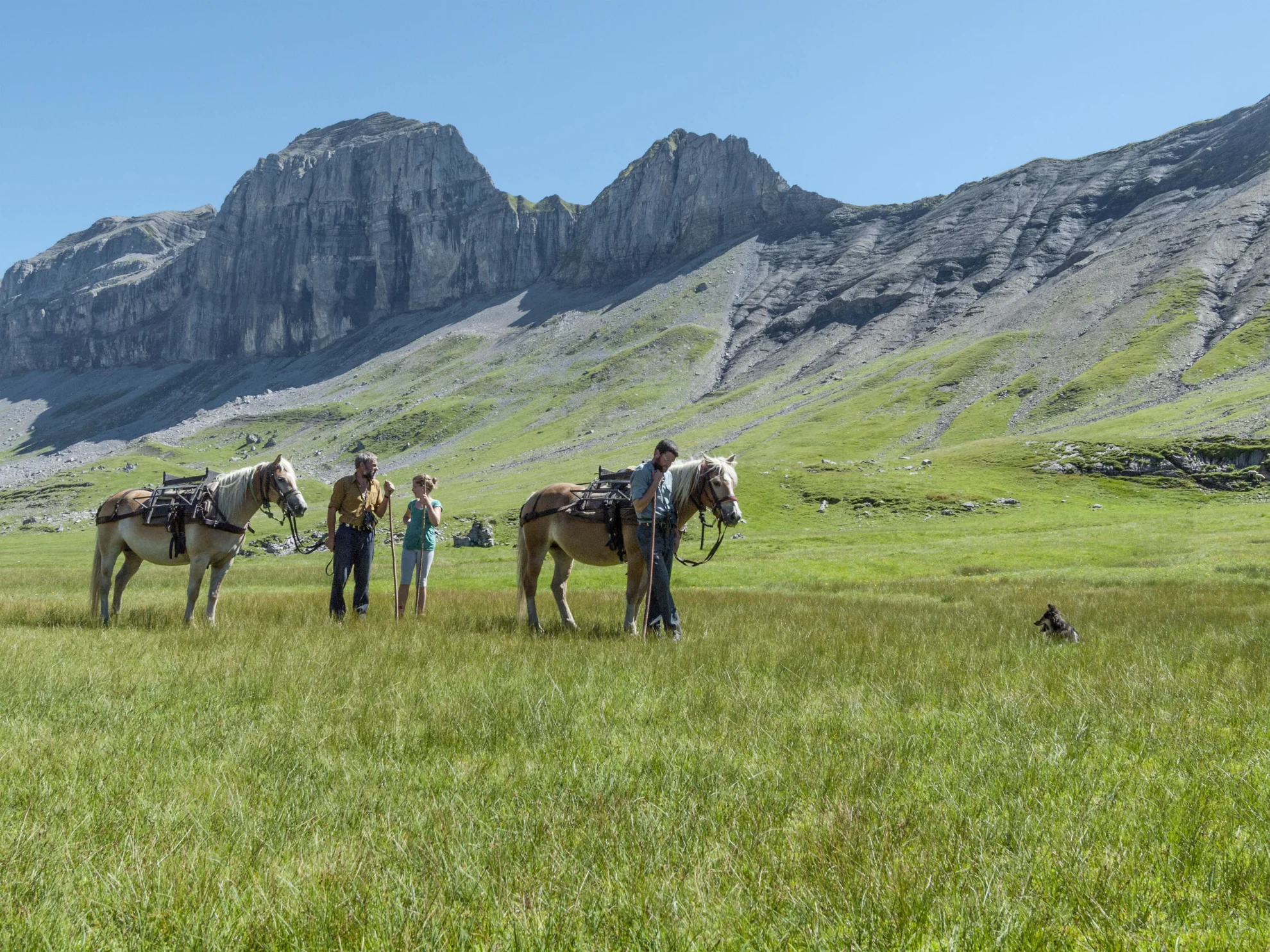 Alpsummer hero banner image placeholder