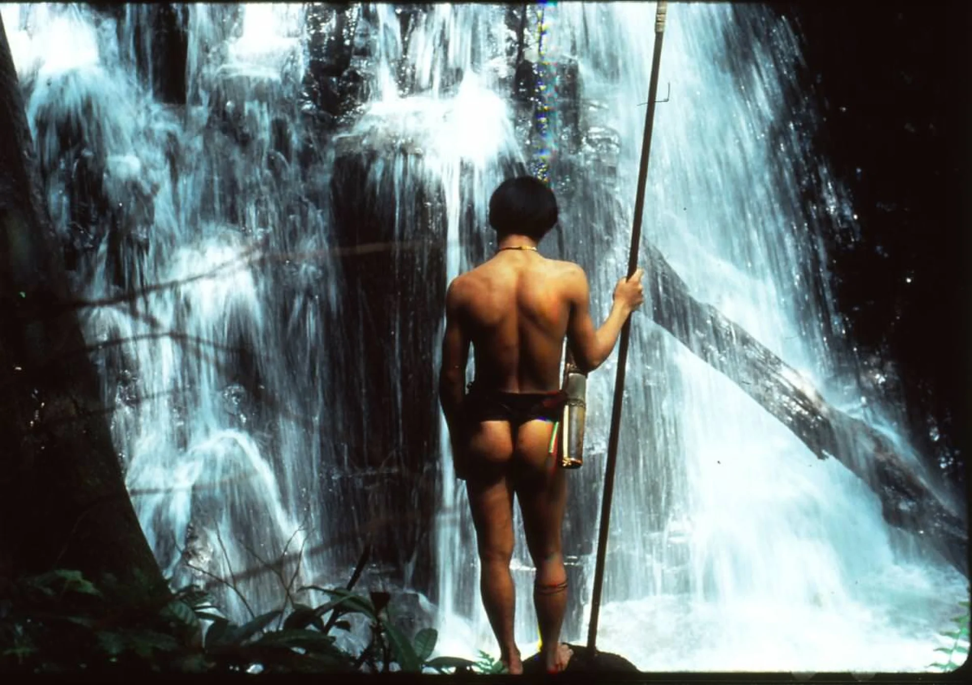 The Borneo Case hero banner image