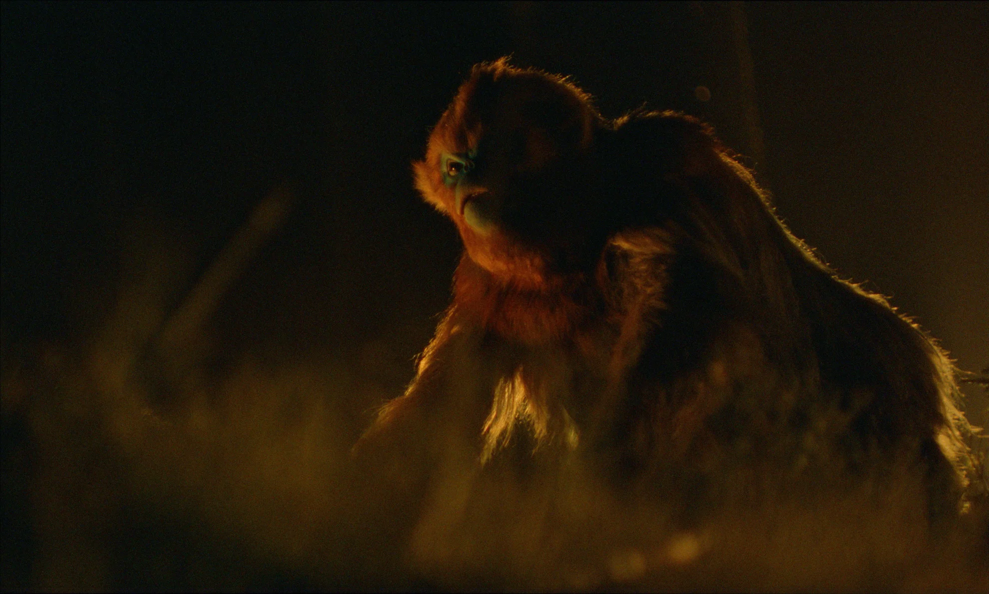 Die Legende von Ochi hero banner image placeholder