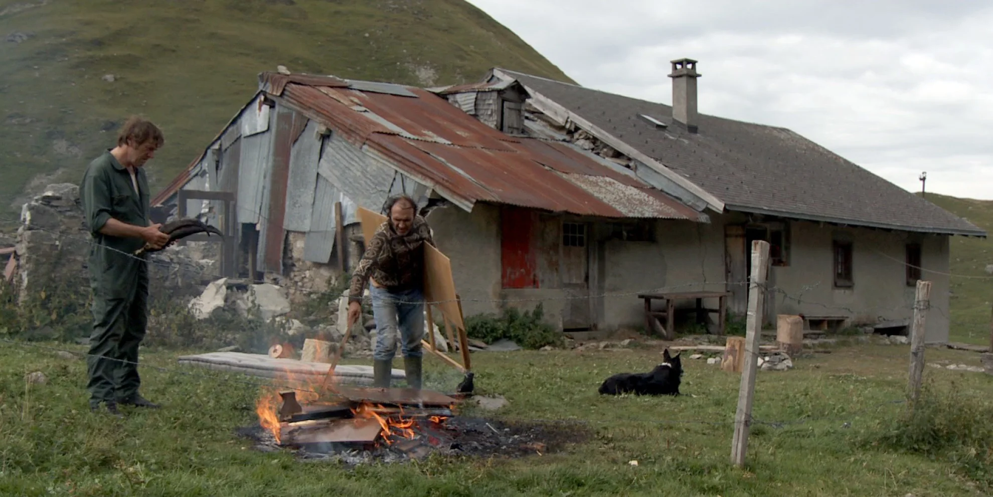 Coeur animal hero banner image placeholder