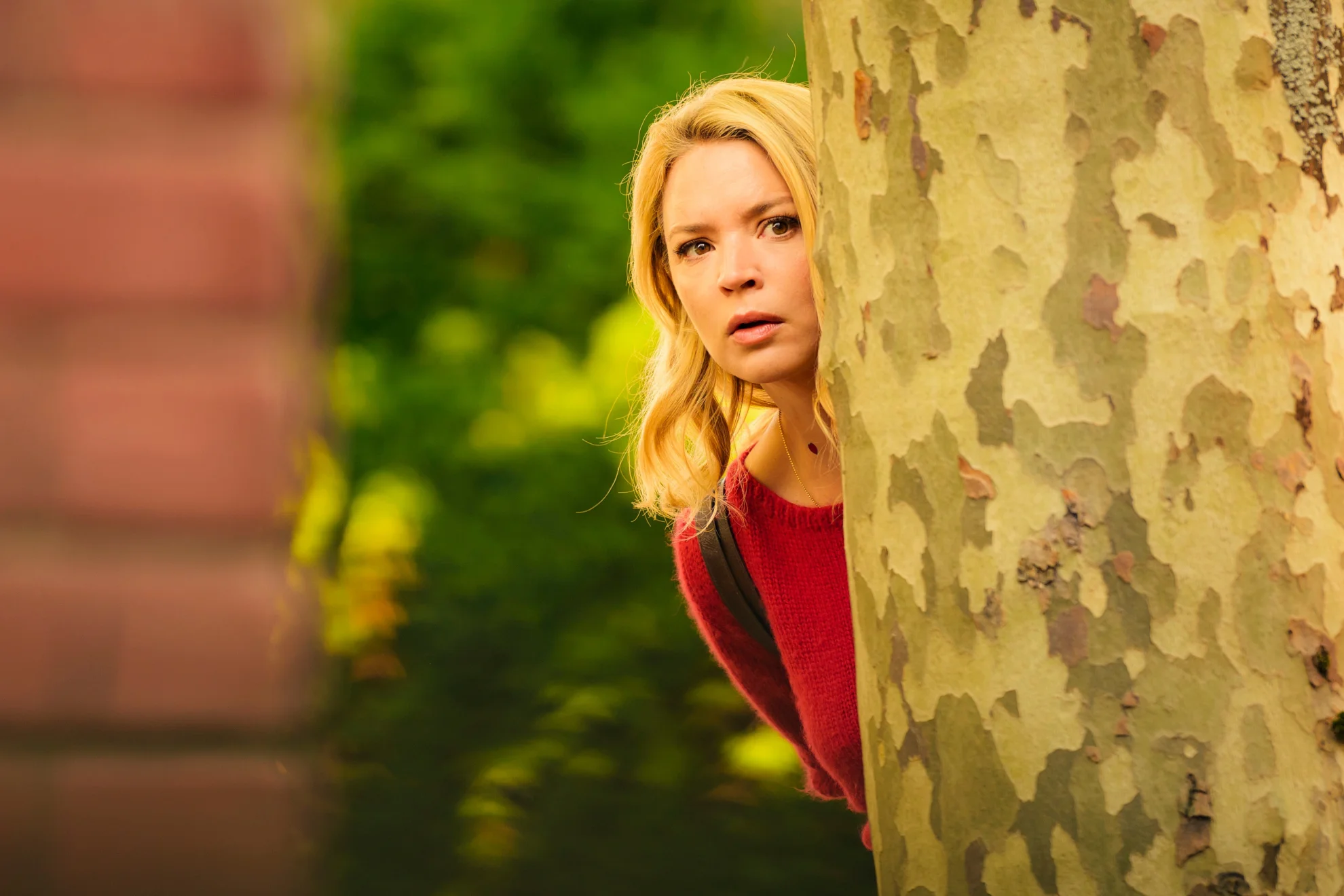 Adieu les cons hero banner image placeholder