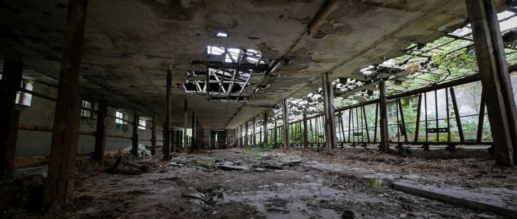 The End of Meat hero banner image placeholder