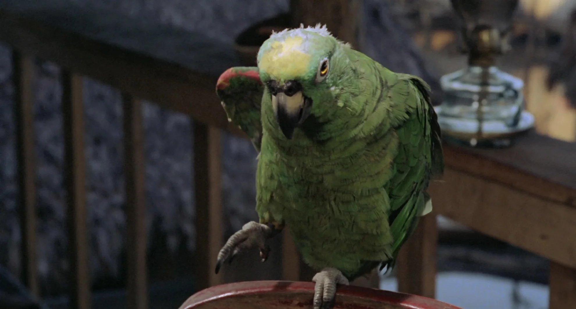 Fitzcarraldo hero banner image placeholder