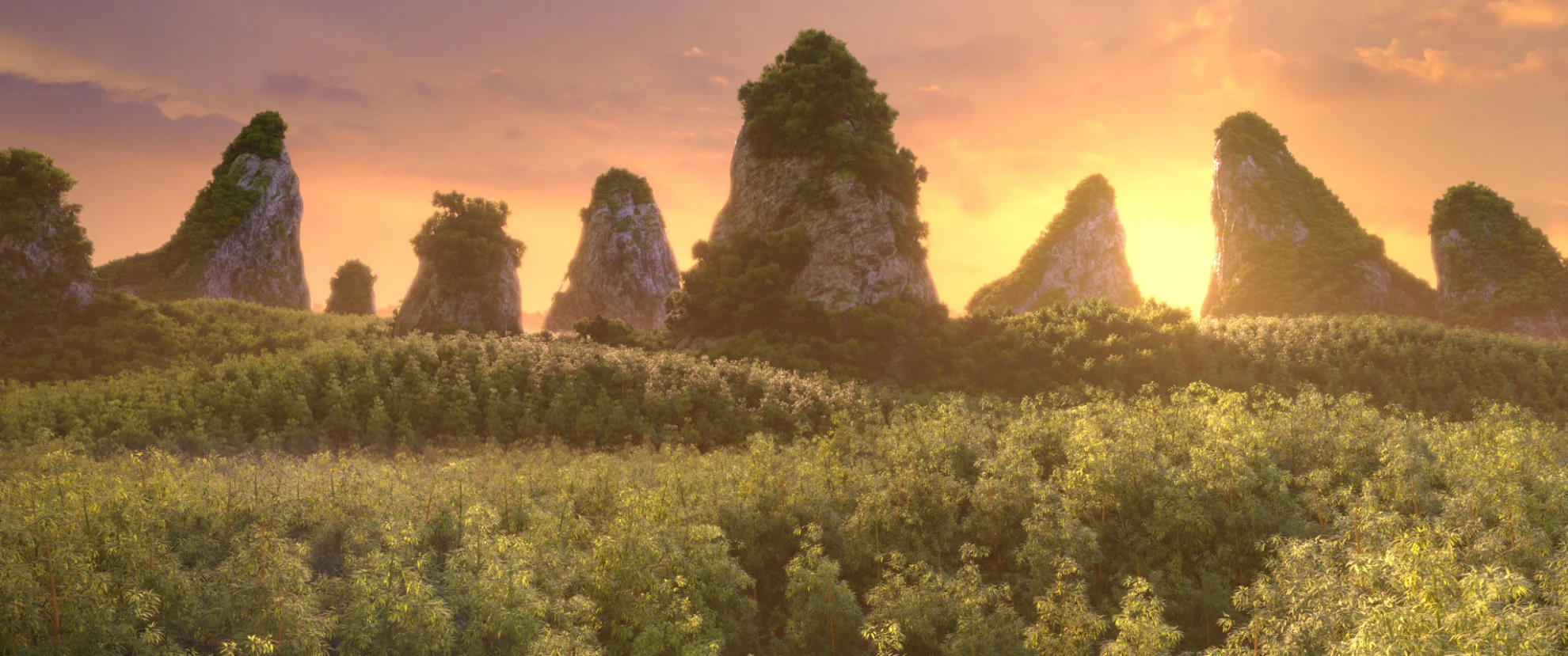 Die Dschungelhelden auf Weltreise hero banner image placeholder