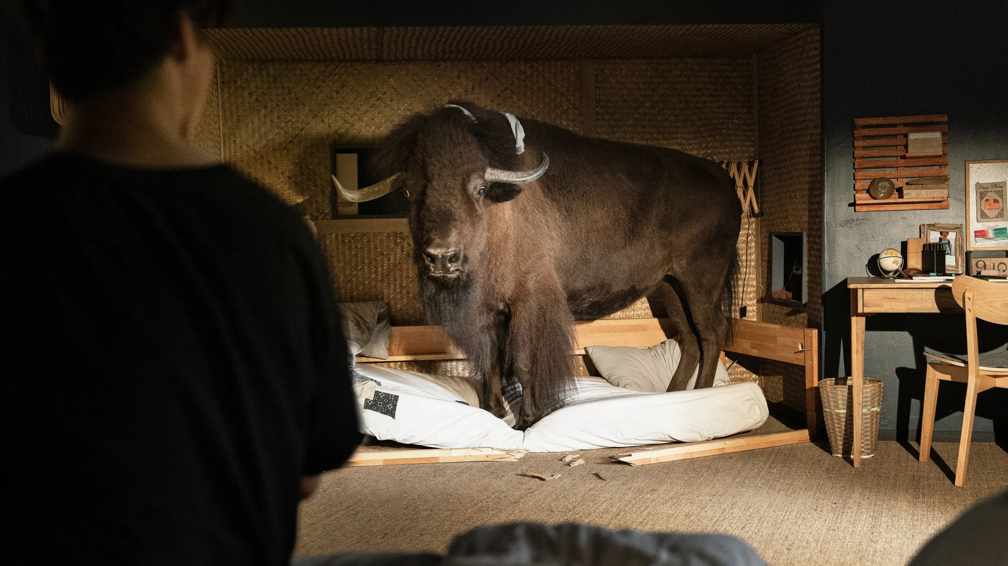 Woodwalkers hero banner image placeholder