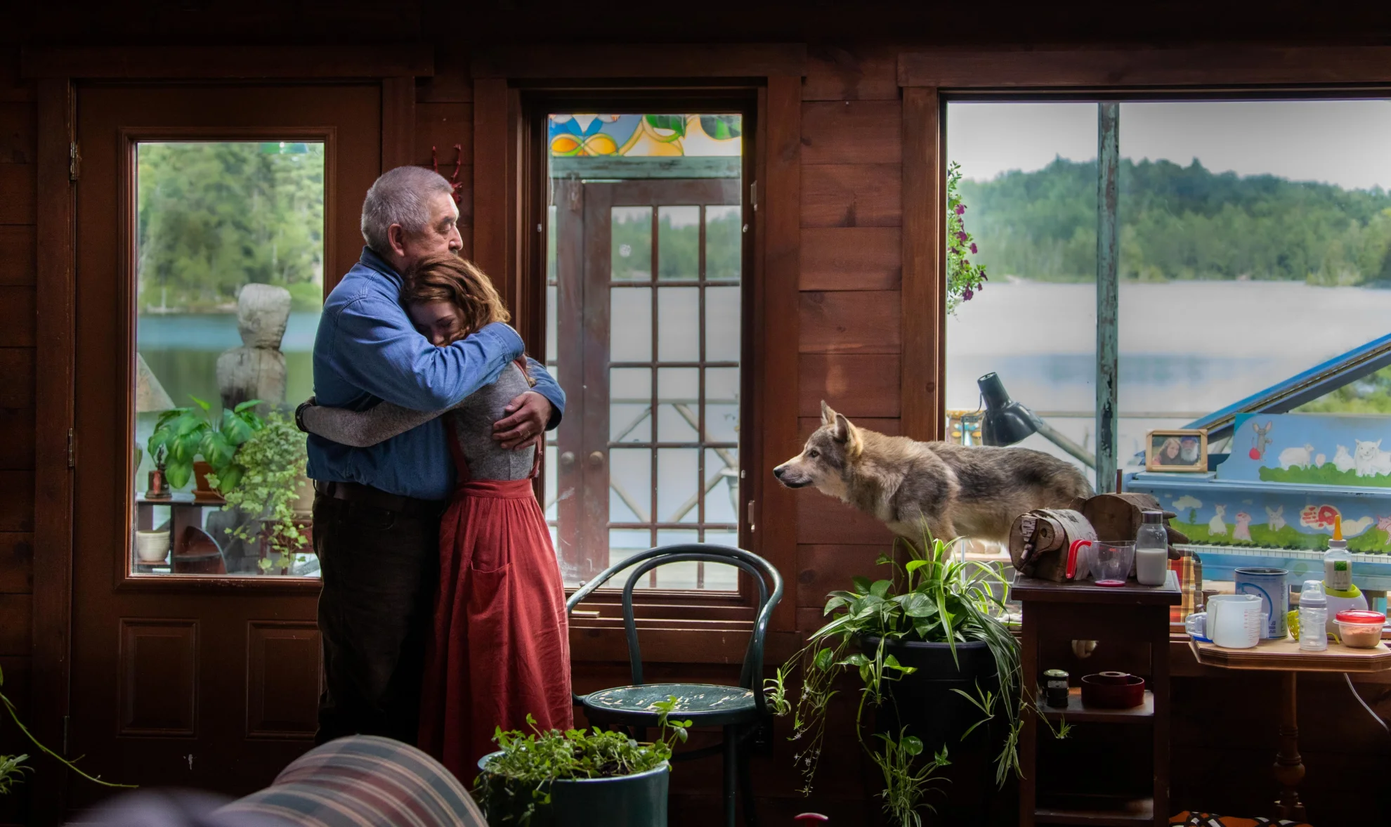 The Wolf and the Lion hero banner image placeholder