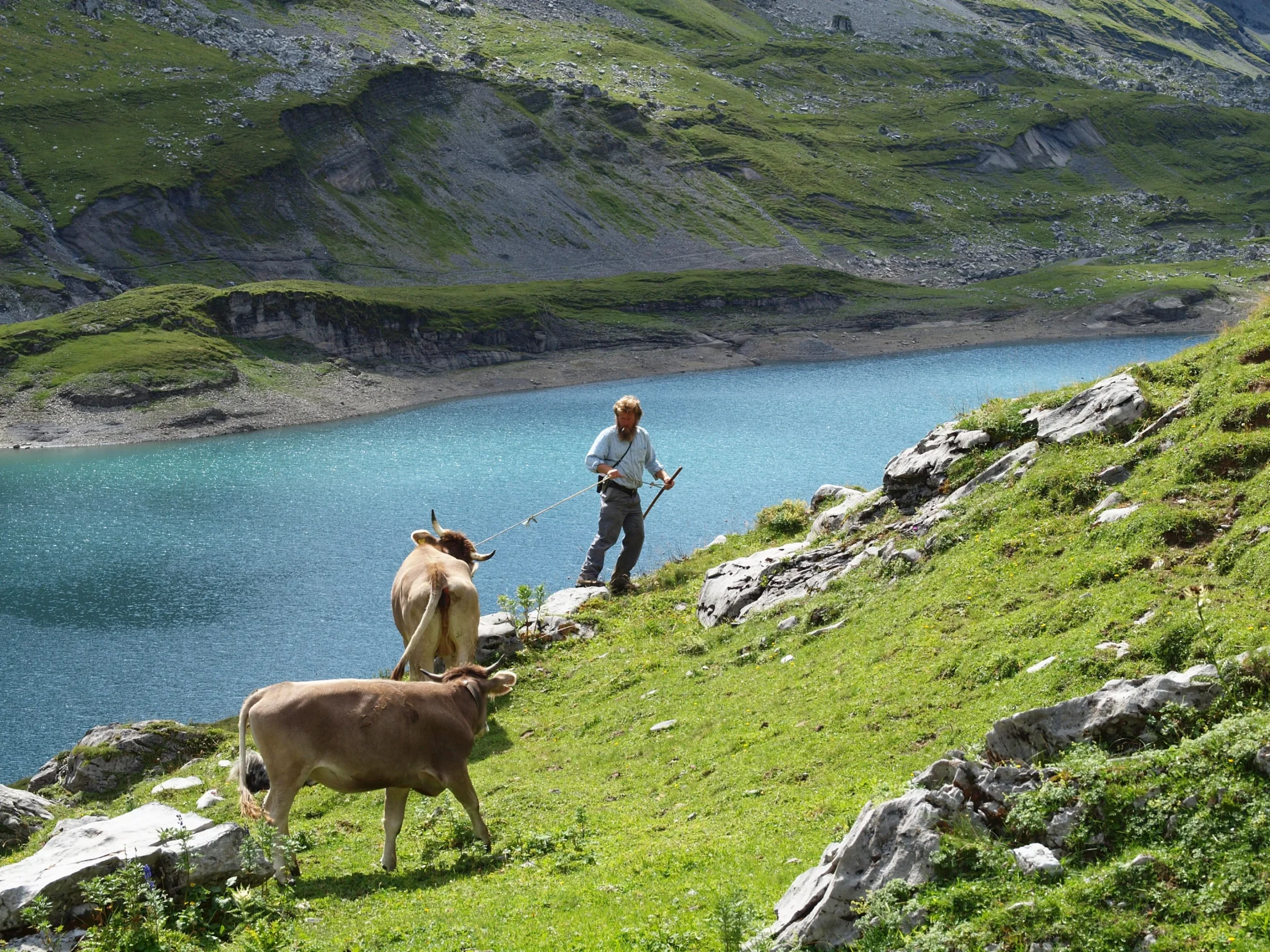 Alpsummer hero banner image placeholder