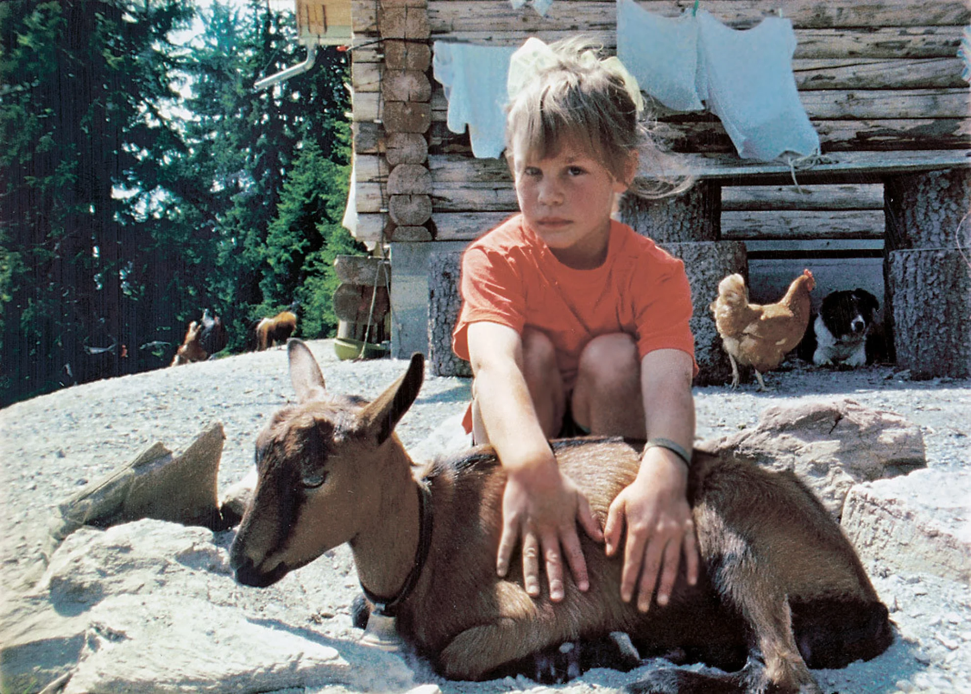 Hirtenreise ins dritte Jahrtausend hero banner image placeholder