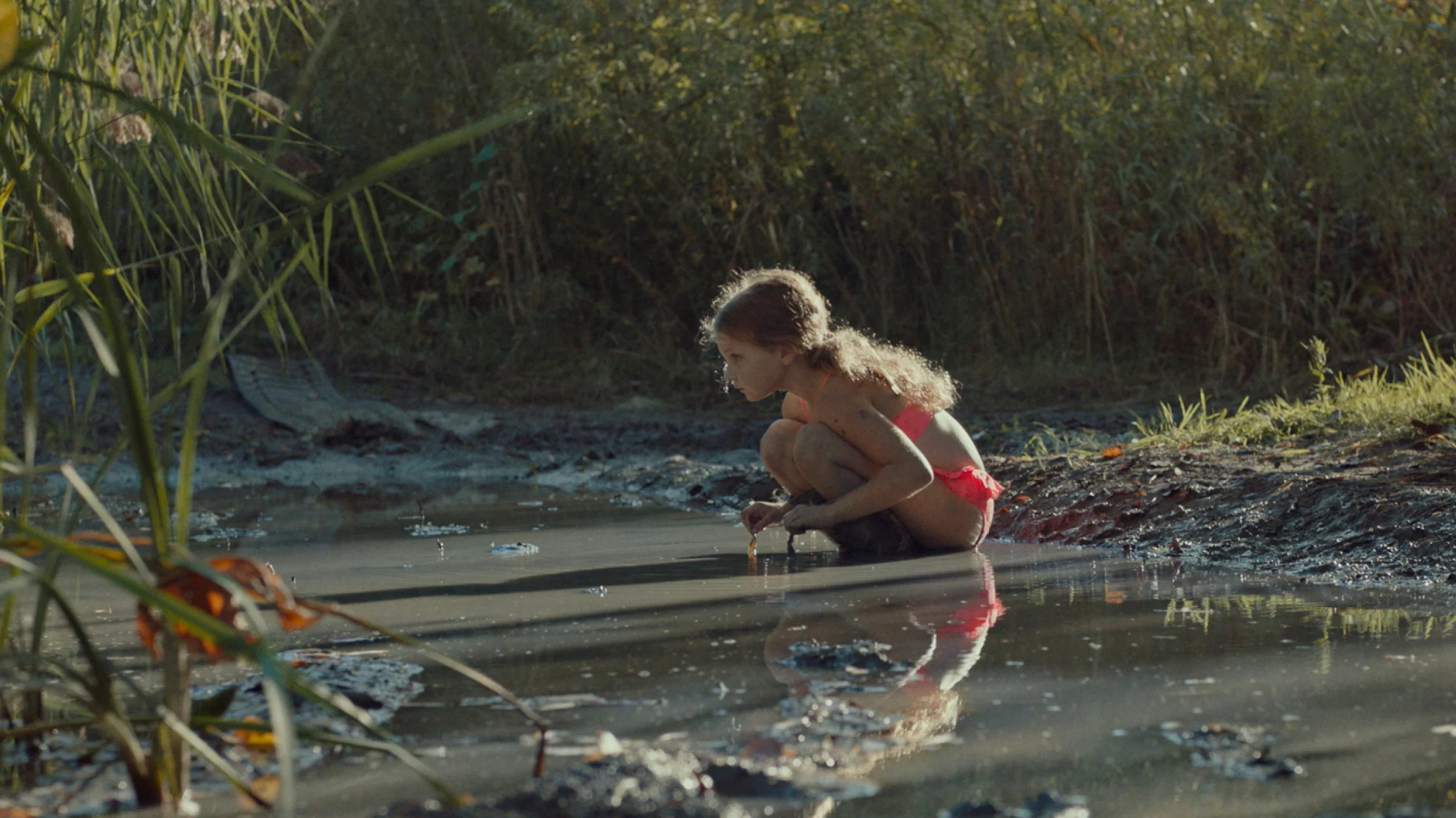 Une colonie hero banner image placeholder