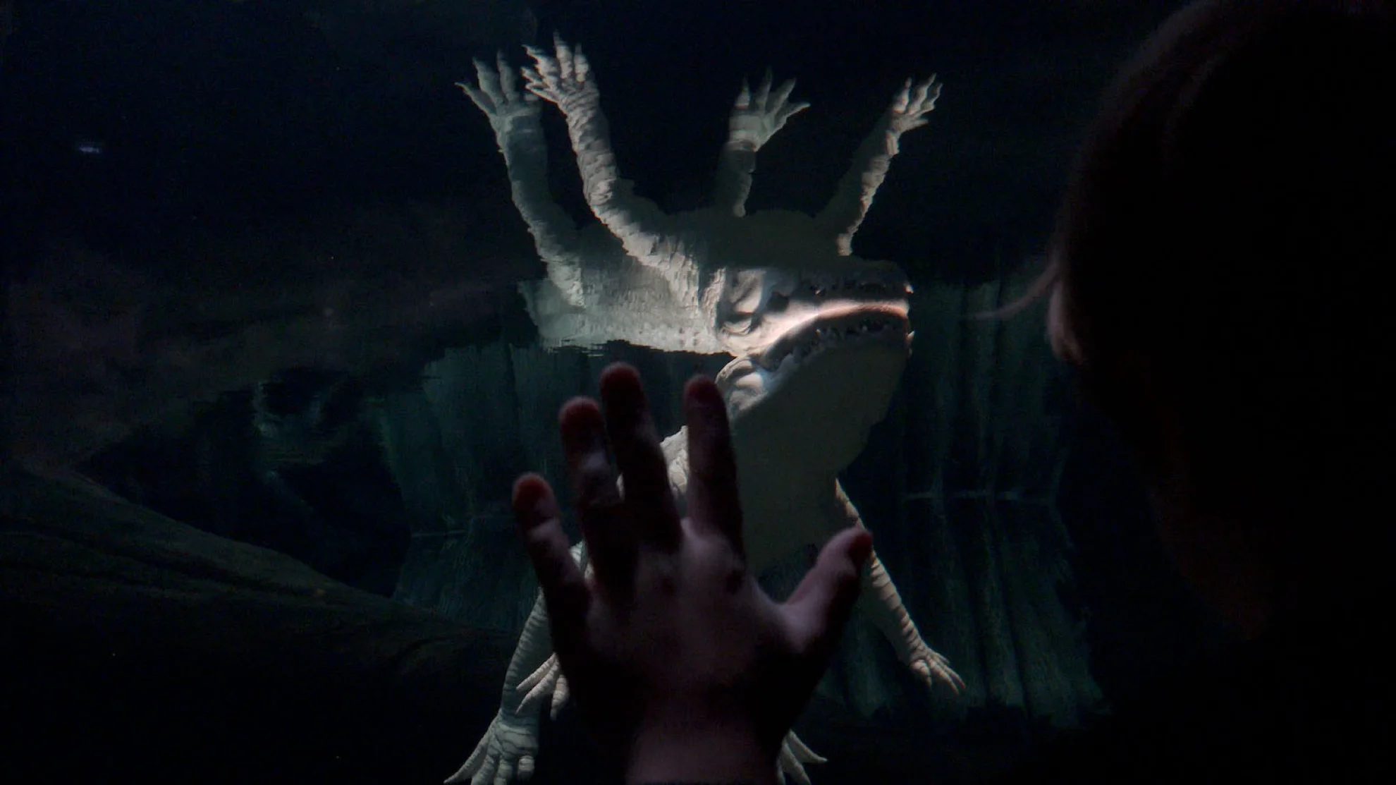 I'll be your mirror hero banner image placeholder