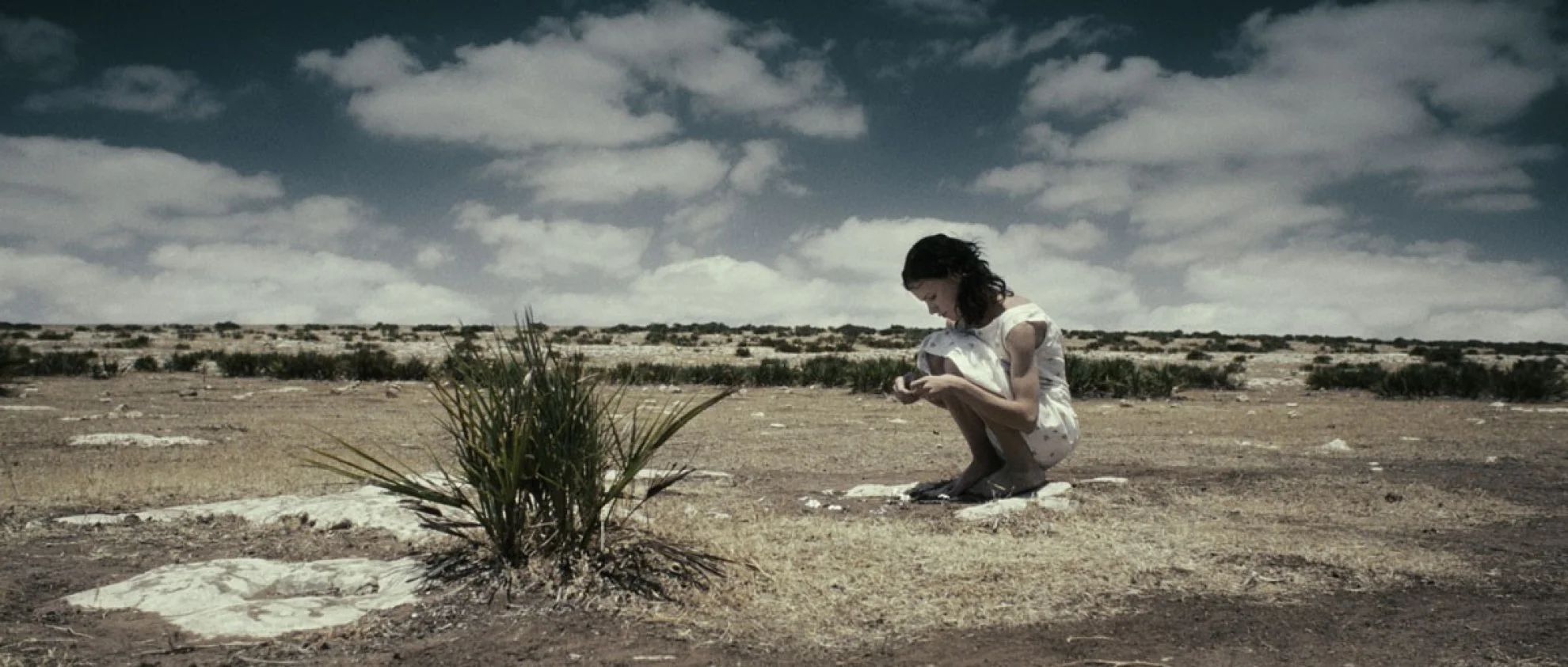 Women Without Men hero banner image placeholder