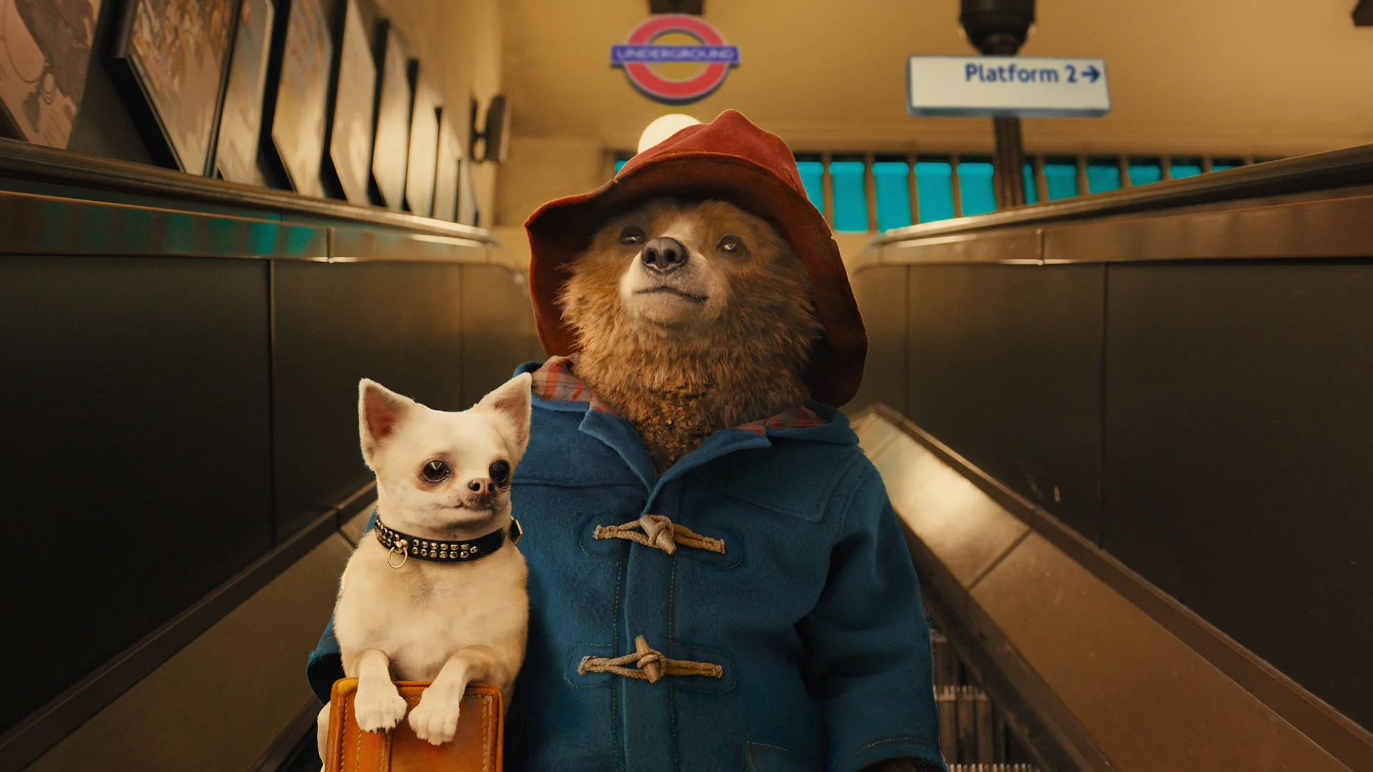 Paddington hero banner image