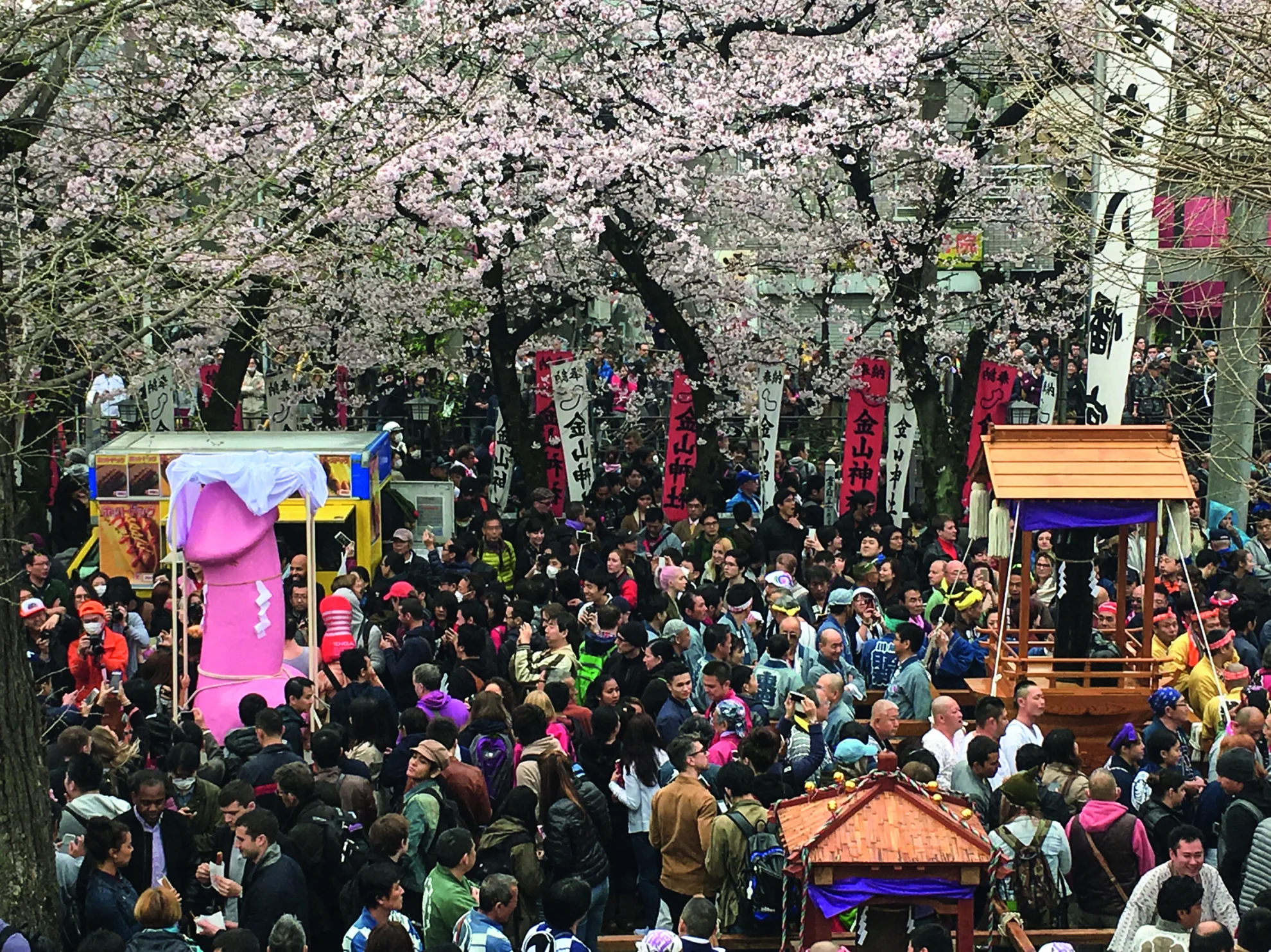  #Female Pleasure hero banner image placeholder