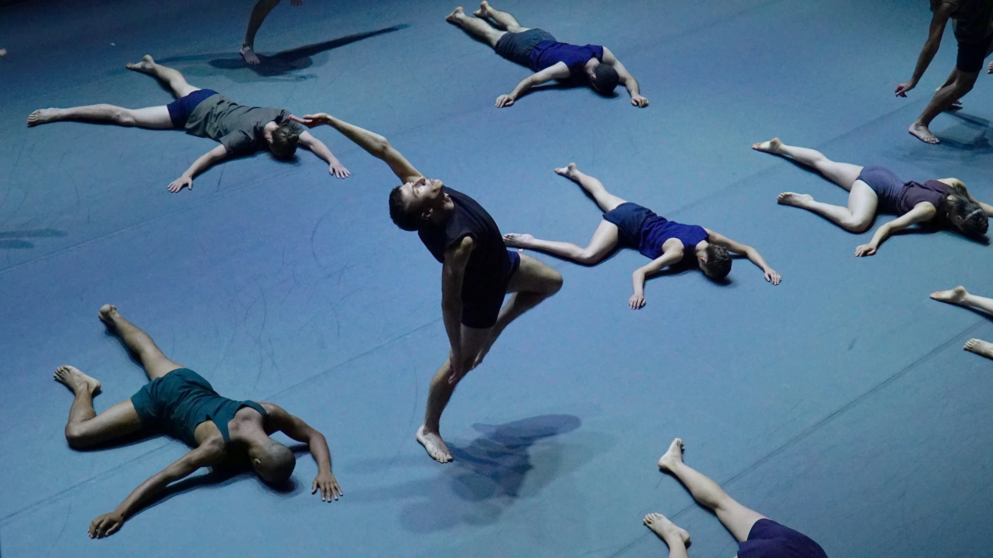 Mr. Gaga hero banner image