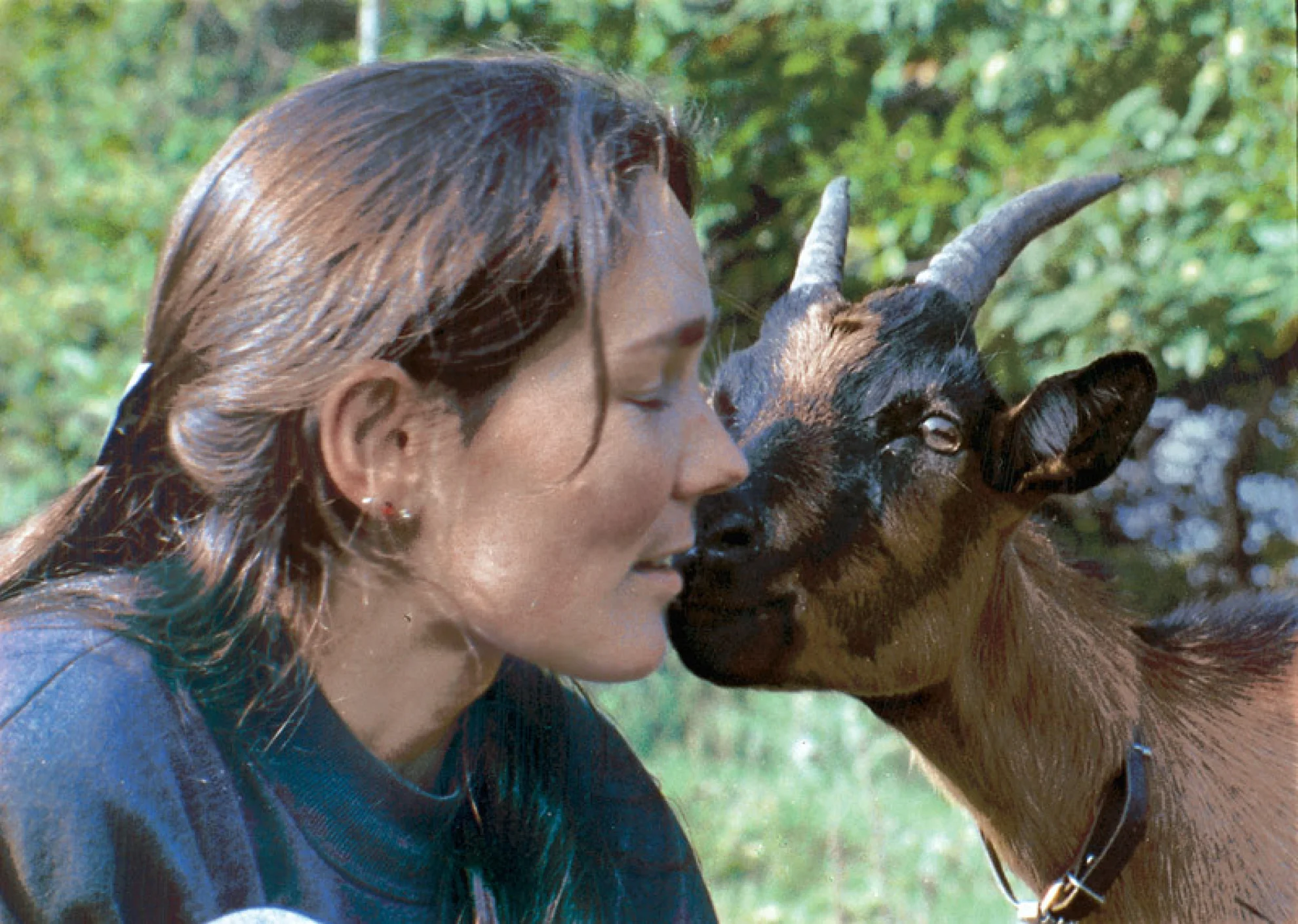 Hirtenreise ins dritte Jahrtausend hero banner image placeholder