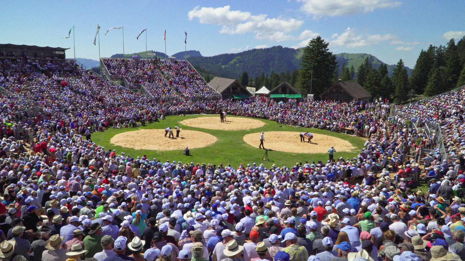 Welcome to Zwitscherland hero banner image placeholder