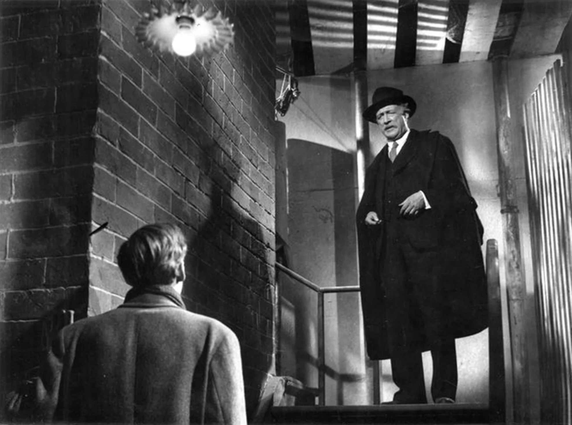 Matto regiert hero banner image placeholder