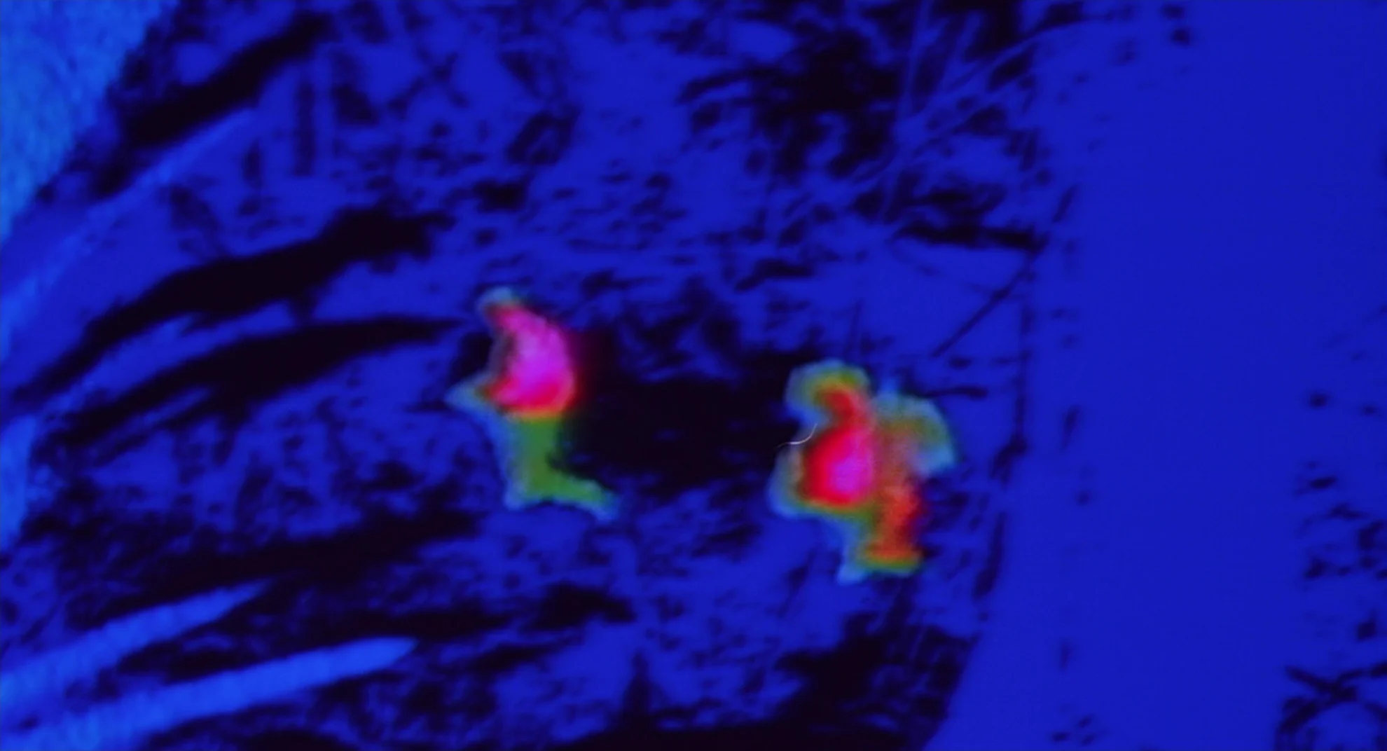 Predator hero banner image placeholder