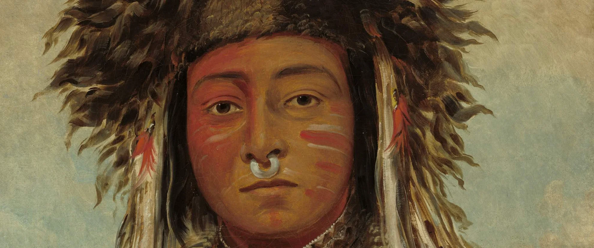 Birds of America hero banner image placeholder