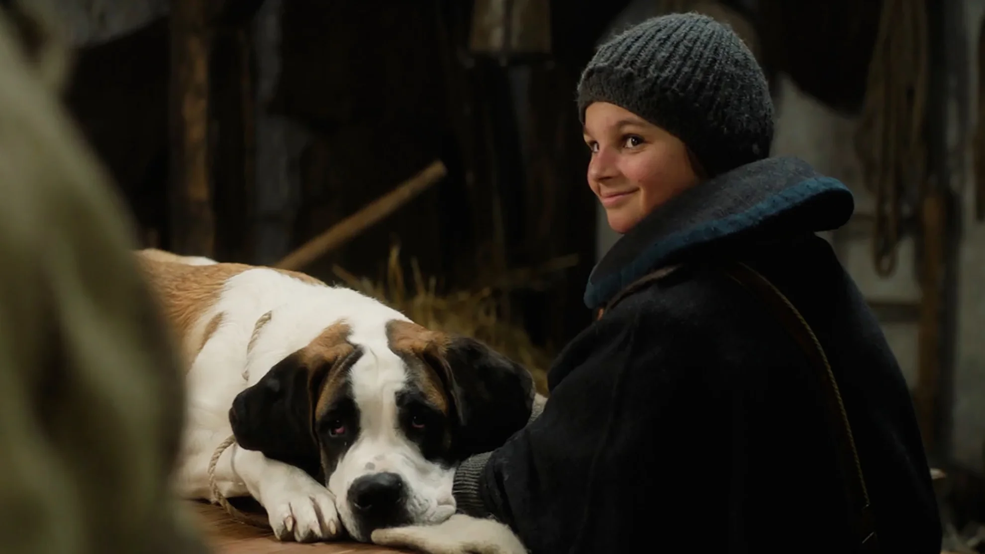 Mein Freund Barry hero banner image placeholder