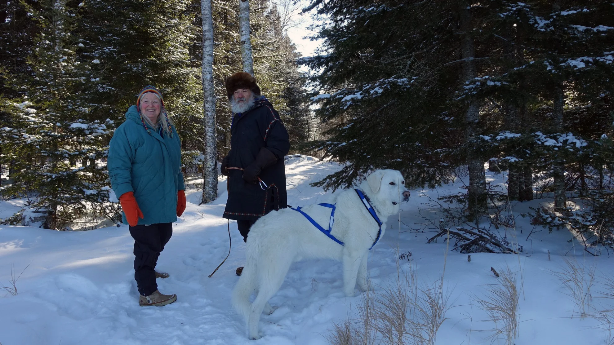 Die Rückkehr der Wölfe hero banner image placeholder