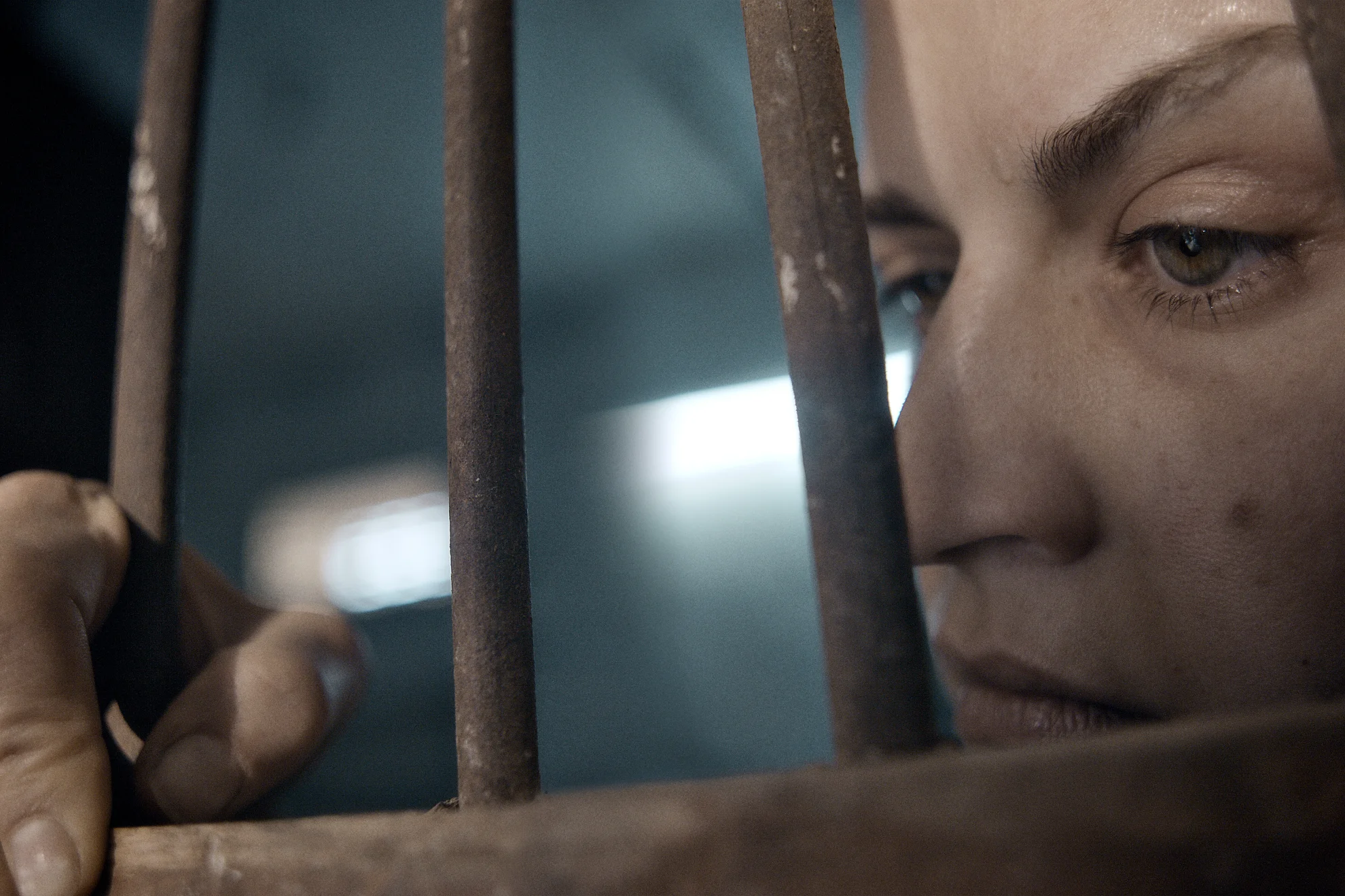 Und morgen seid ihr tot hero banner image placeholder