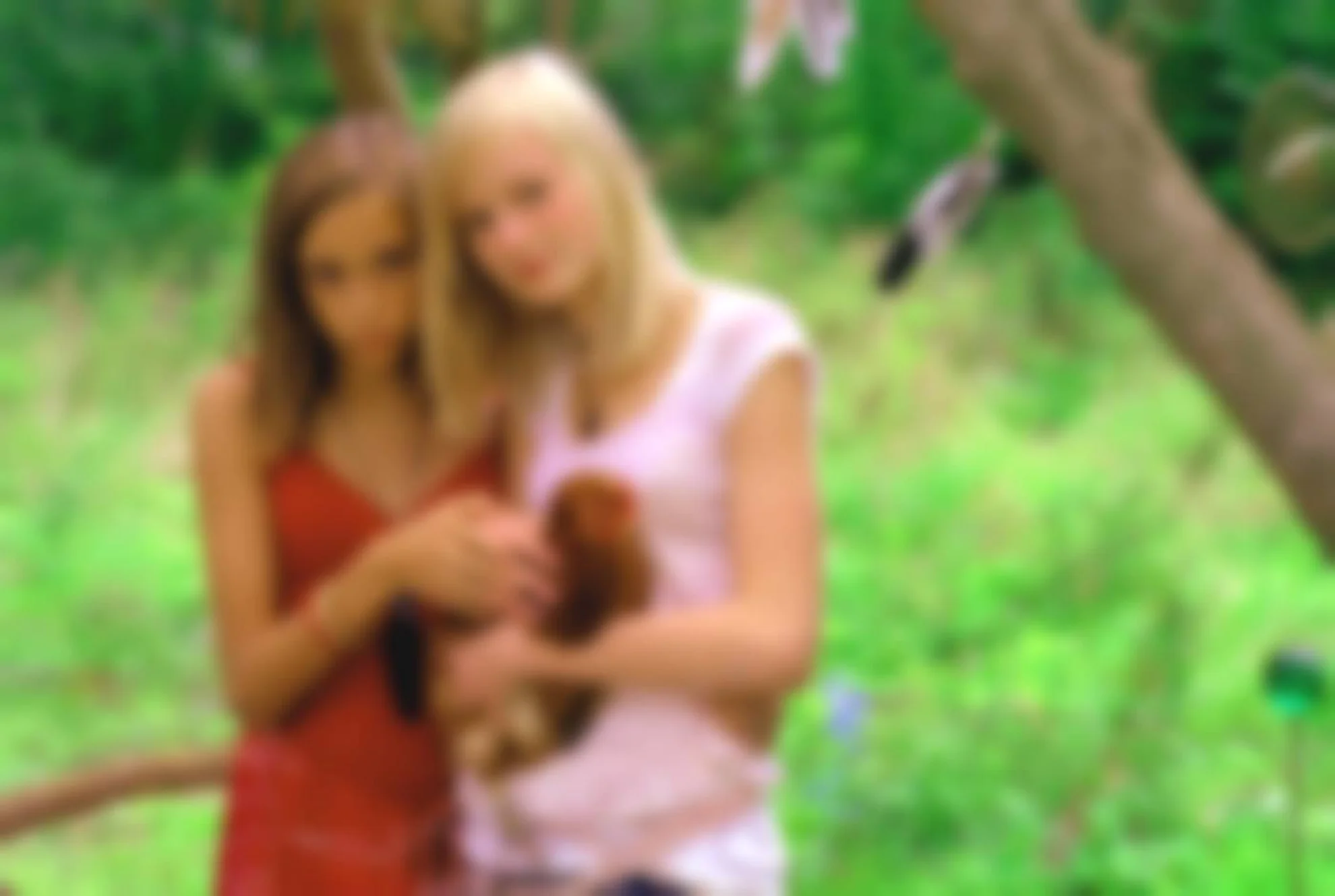 Die wilden Hühner und die Liebe hero banner image placeholder