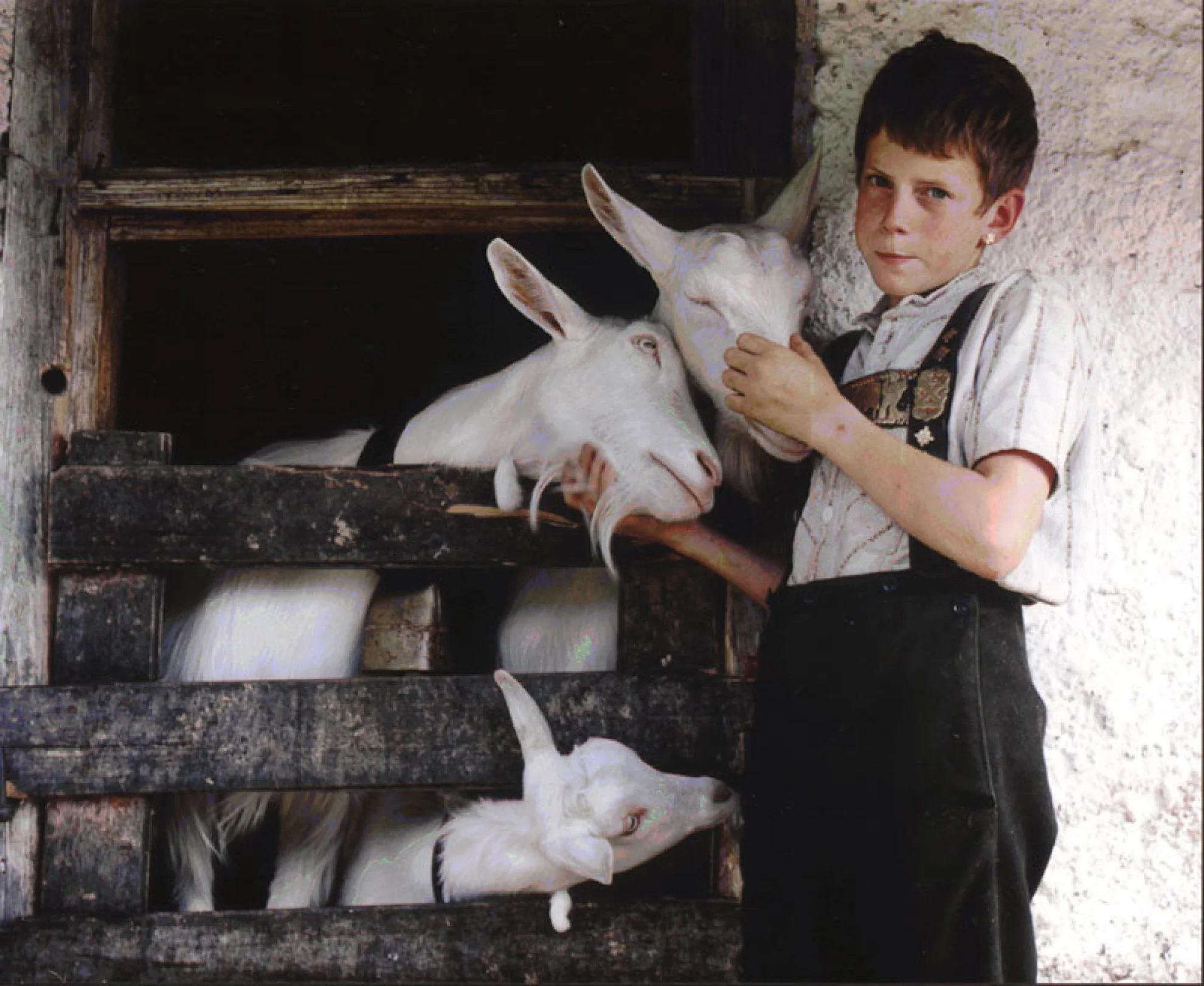 Sennen-Ballade hero banner image placeholder