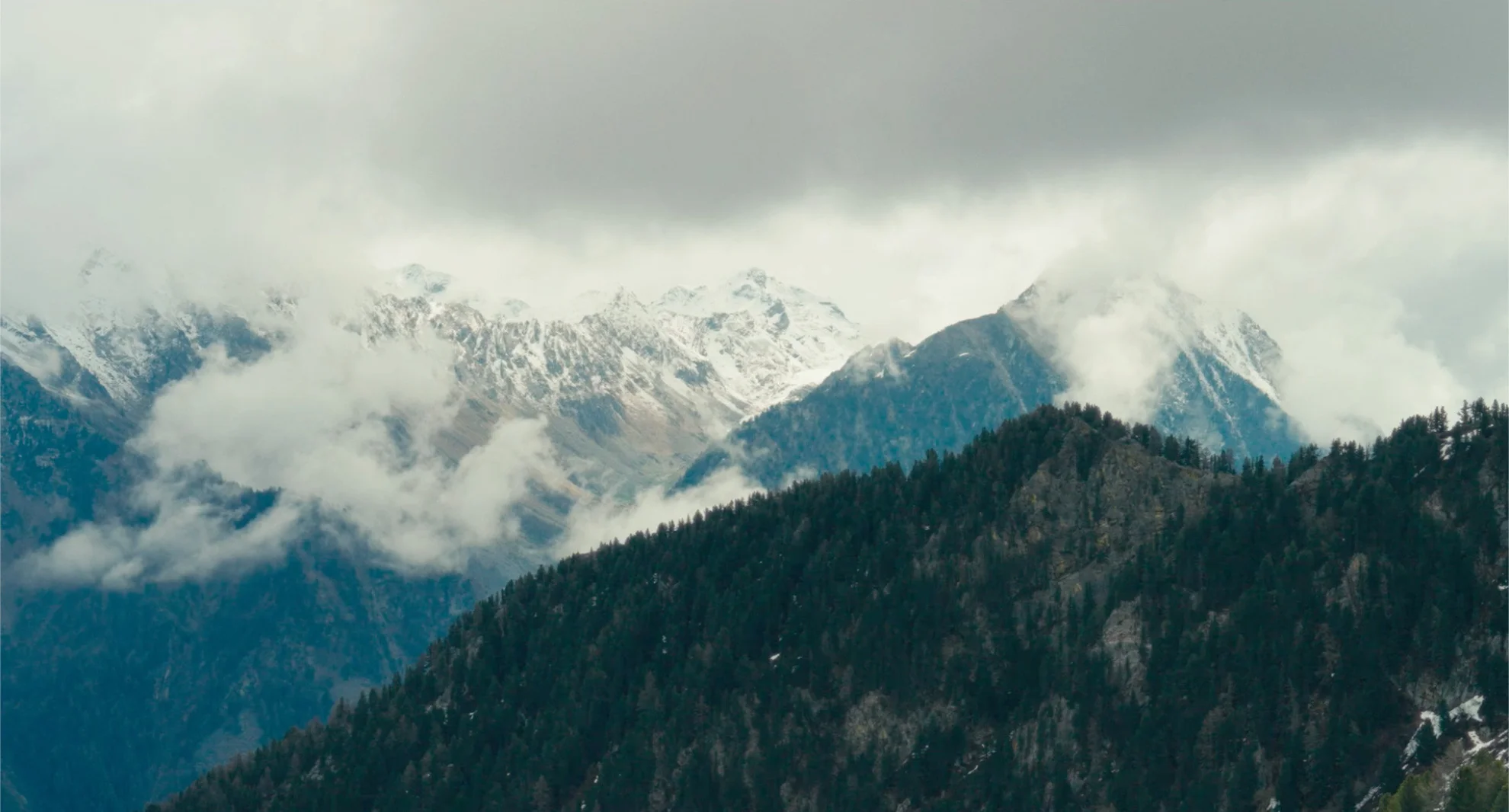 Fiore Mio hero banner image placeholder