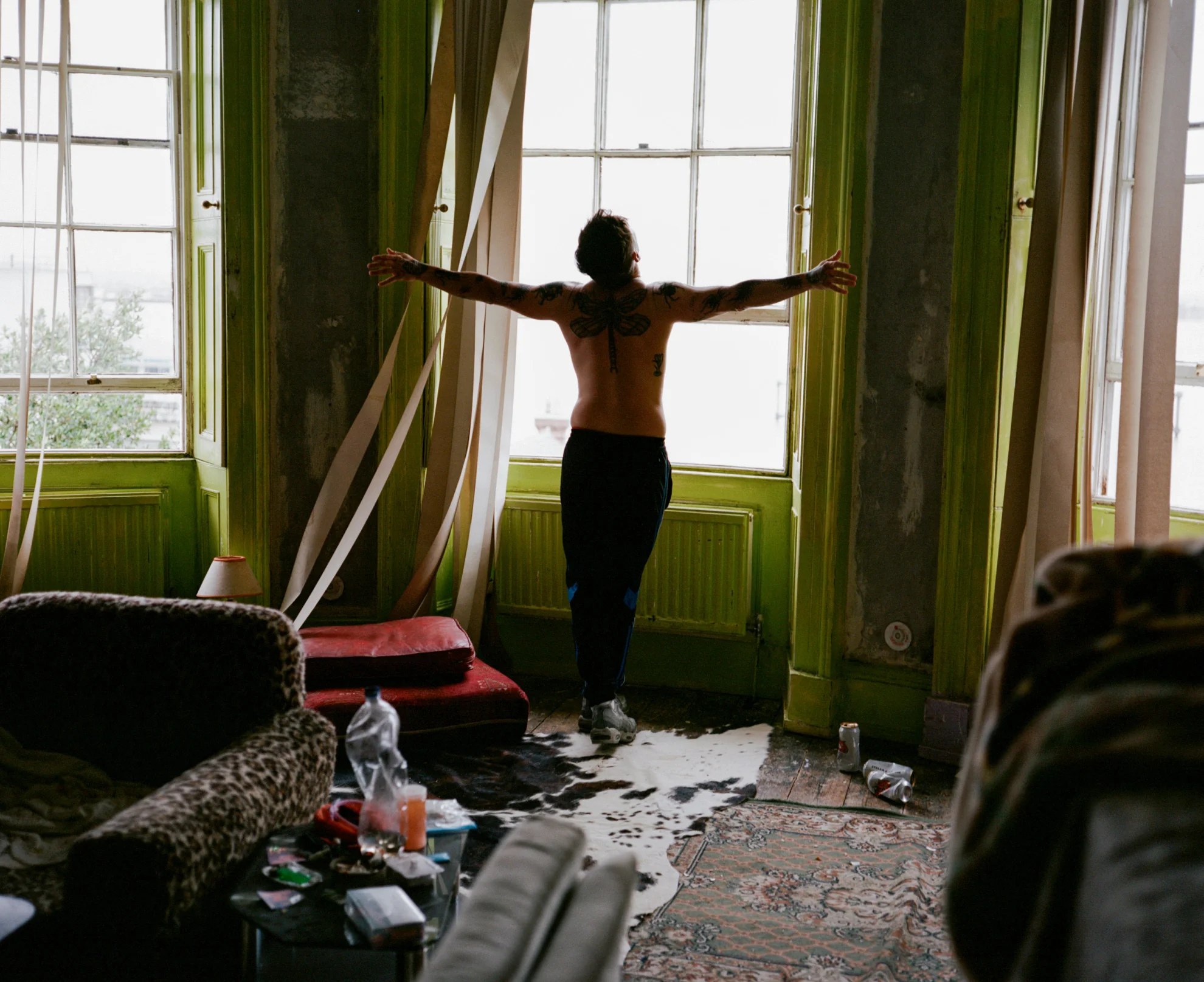 Bird hero banner image