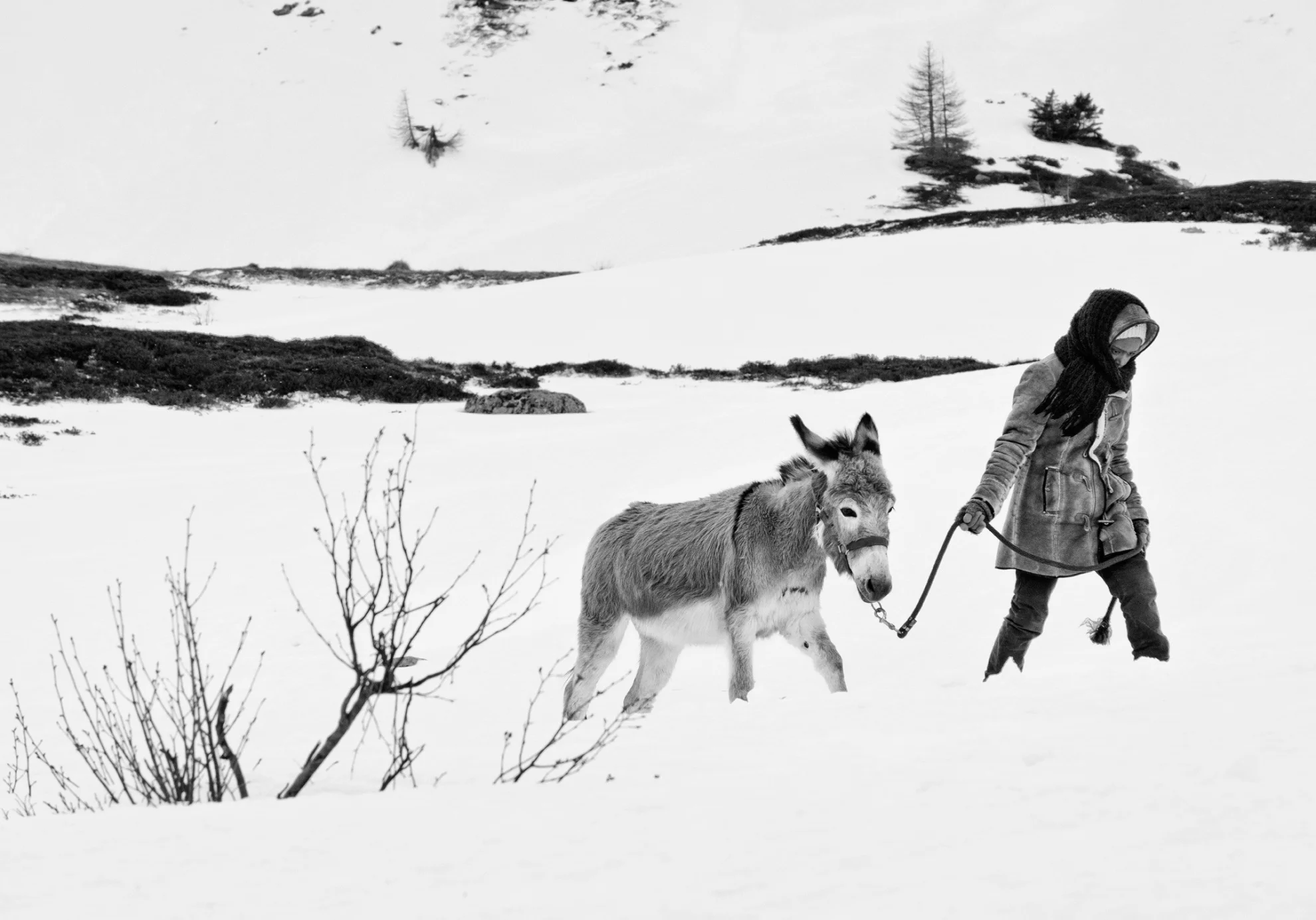 Fortuna  hero banner image placeholder