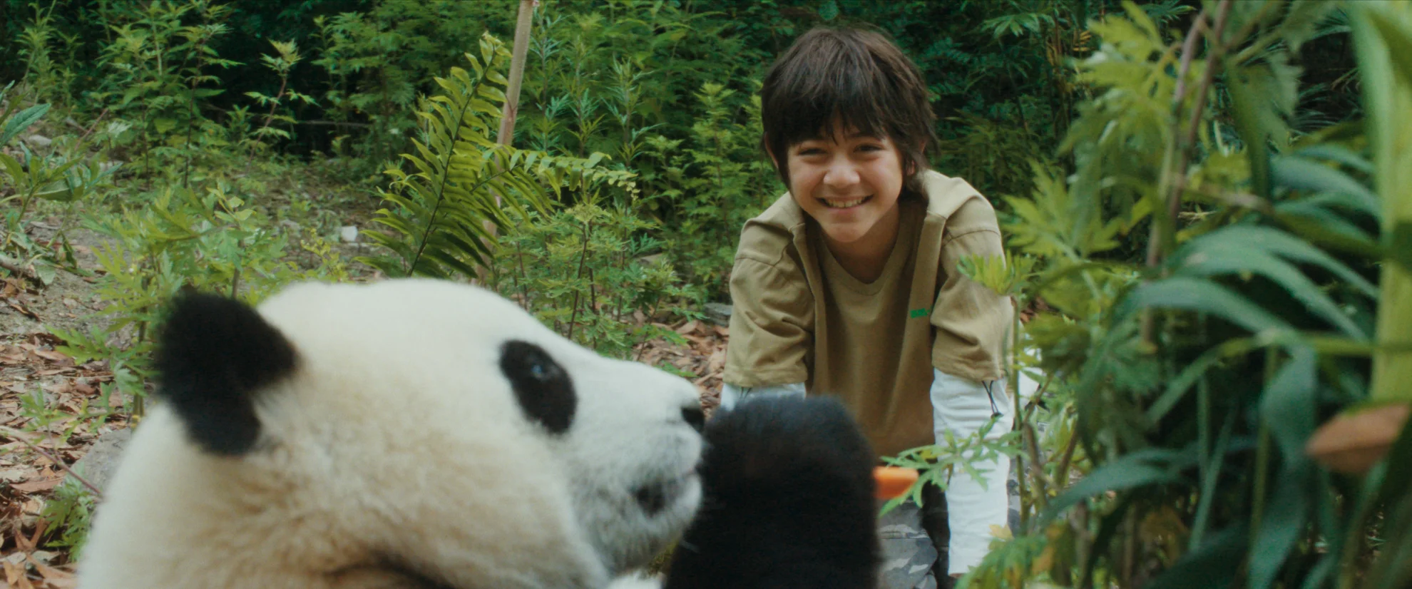 Moon, der Panda hero banner image