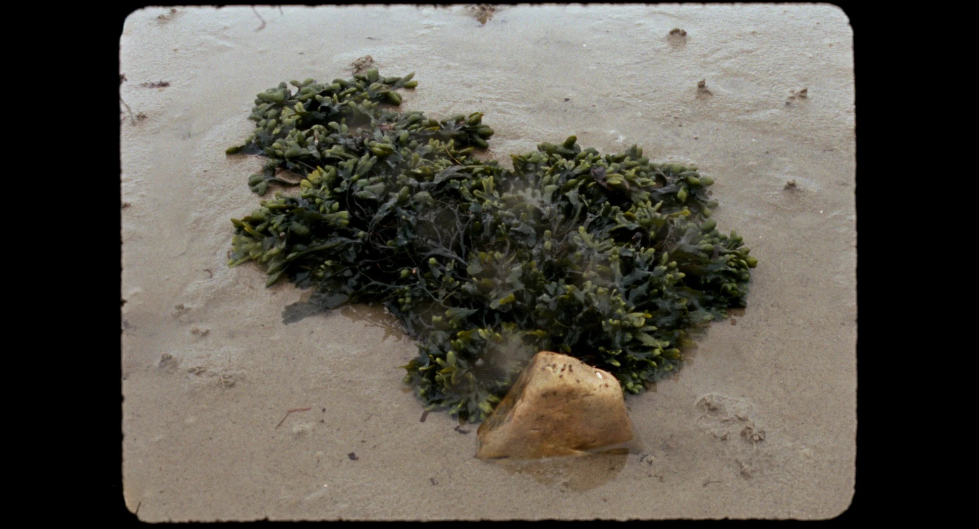 Innerschweizer Filmpreis 2025 hero banner image placeholder