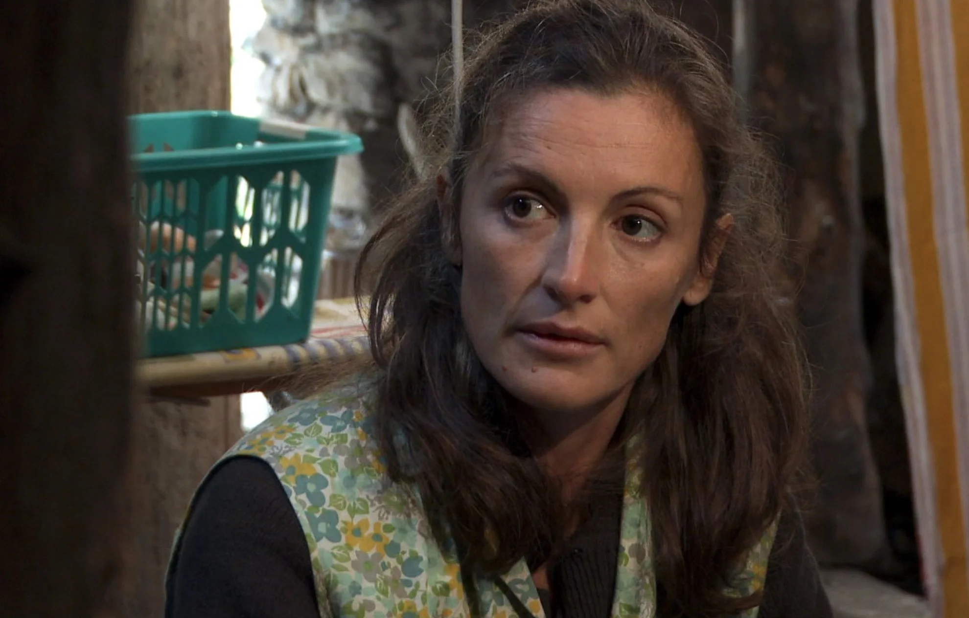 Coeur animal hero banner image placeholder