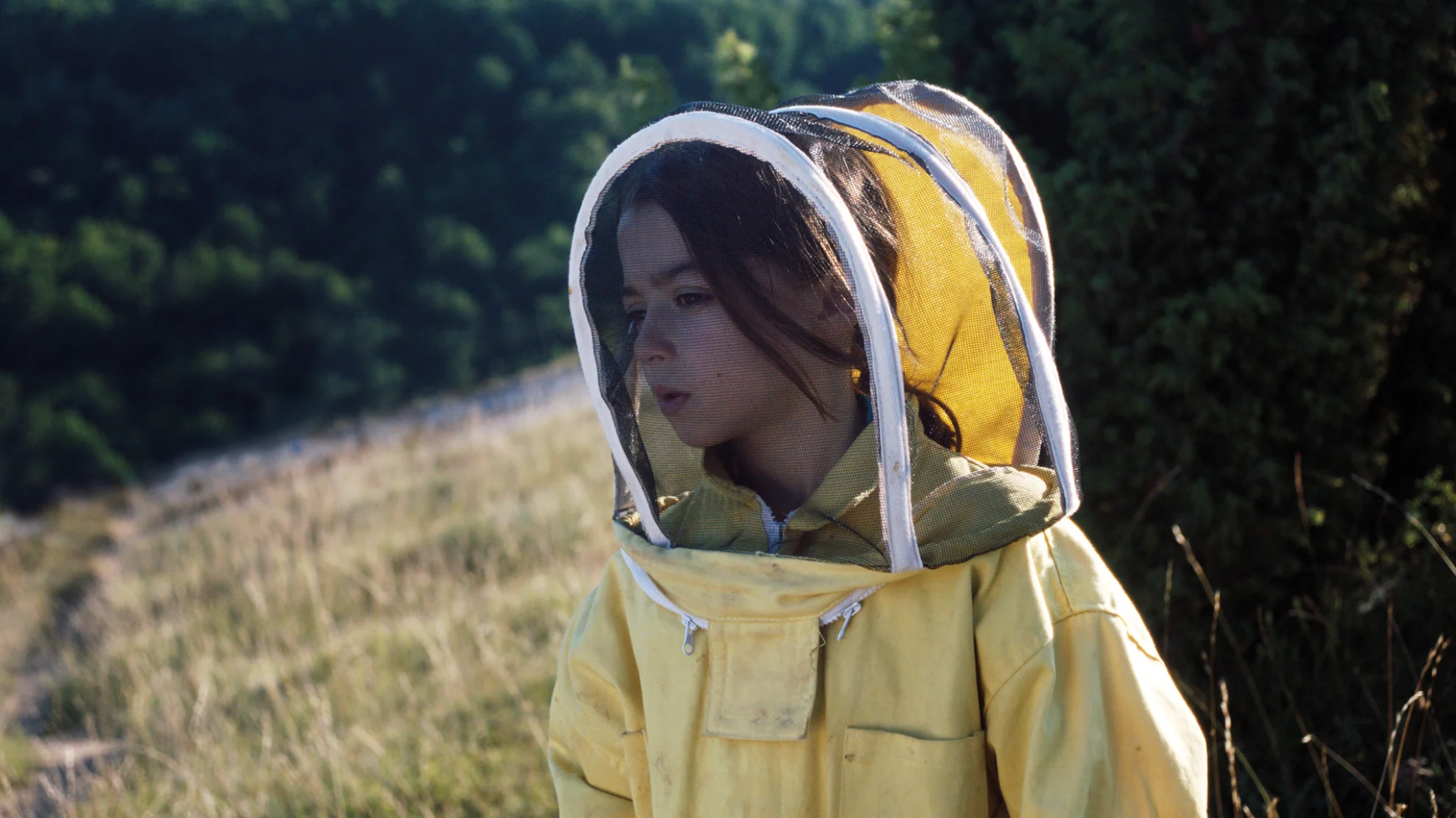 20000 especies de abejas hero banner image