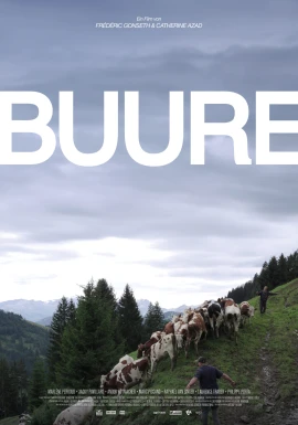 Buure film poster image