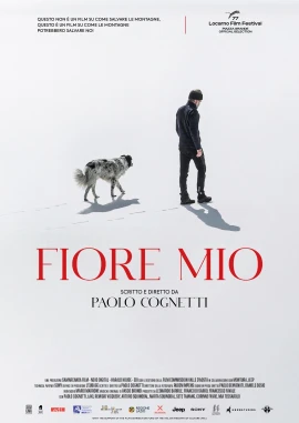 Fiore Mio film poster image